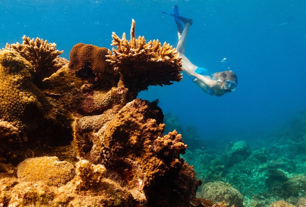 resort viet nam anh 10