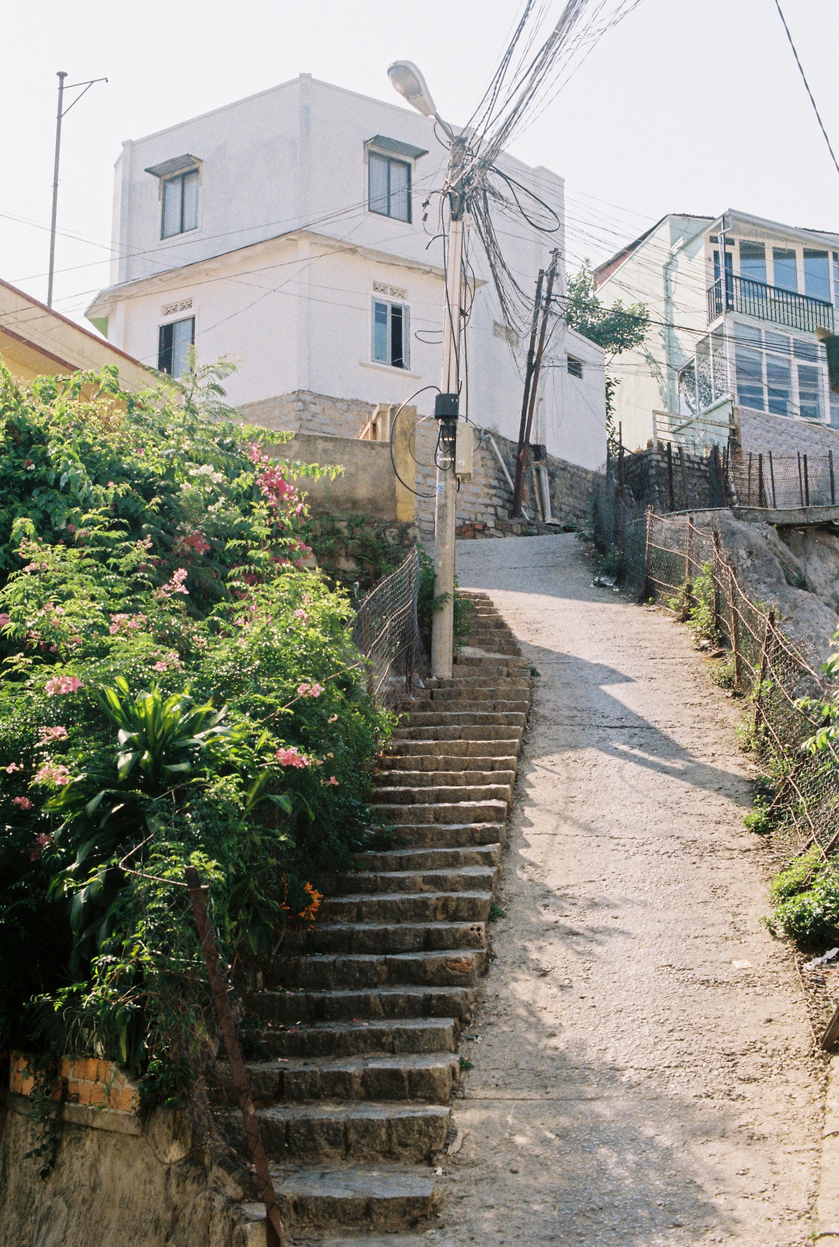 du lich da lat anh 7