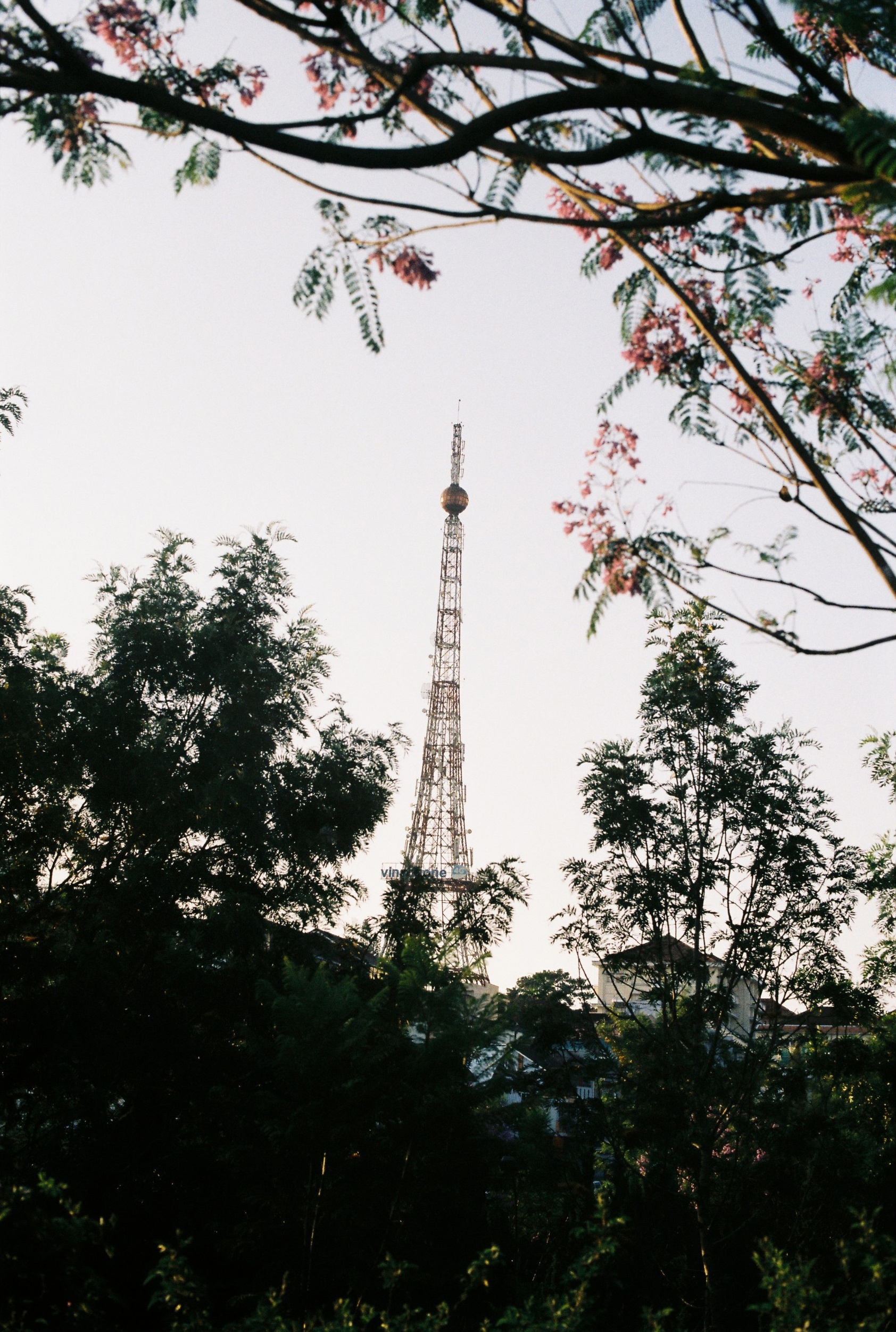 du lich da lat anh 6