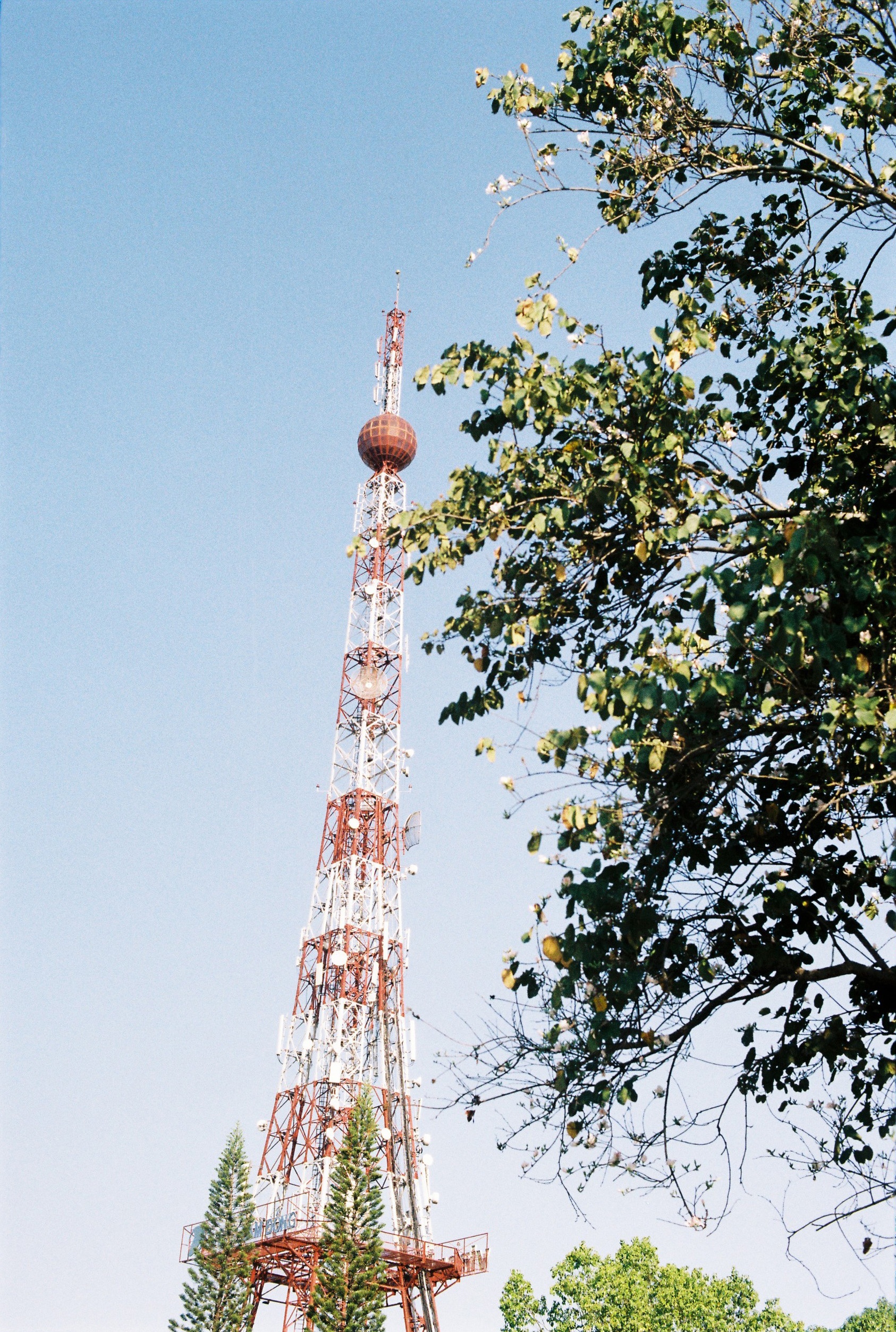 du lich da lat anh 5