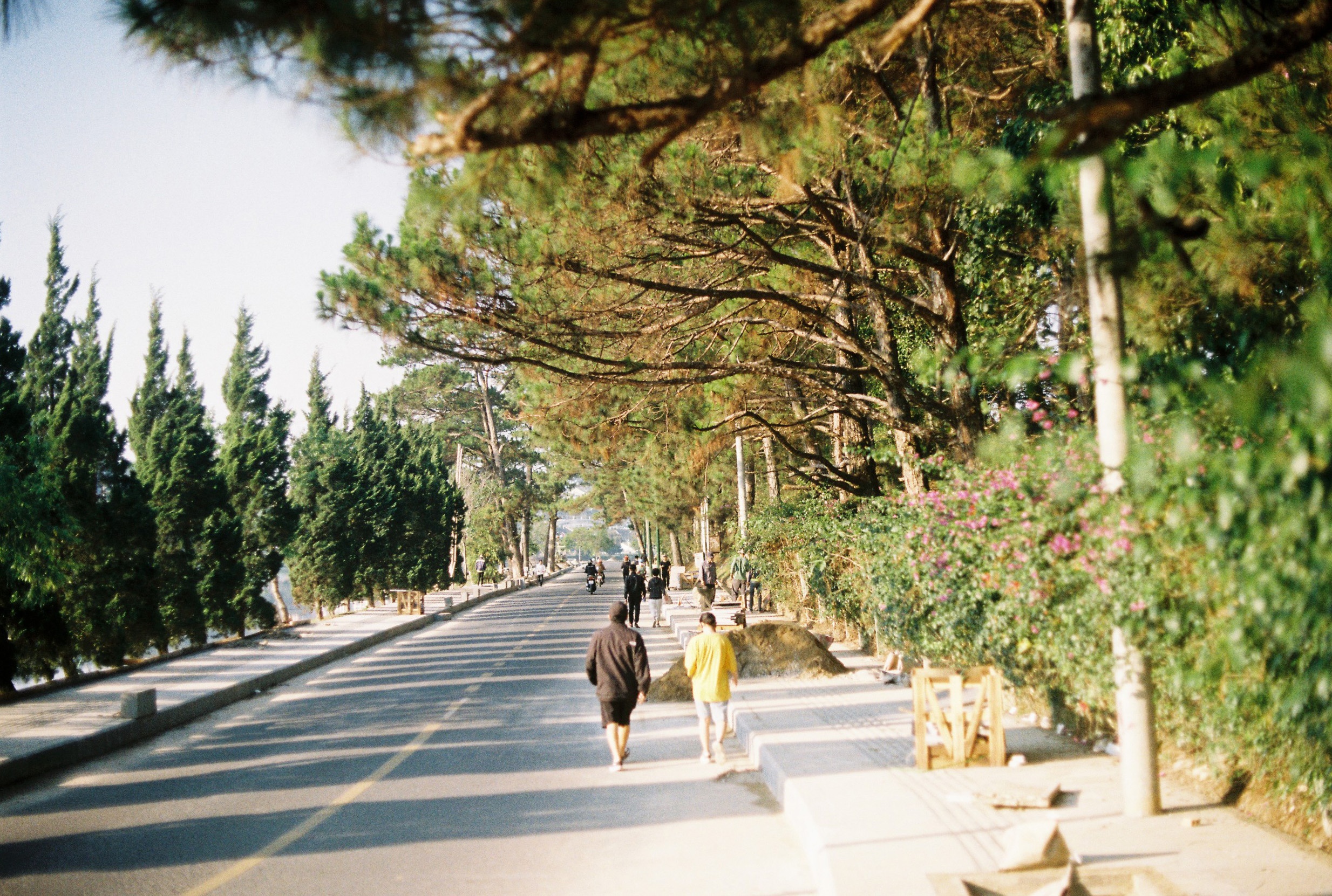 du lich da lat anh 20