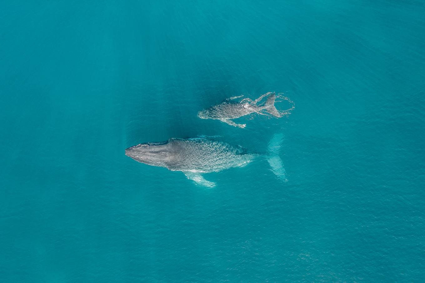 anh dep viet nam anh 9