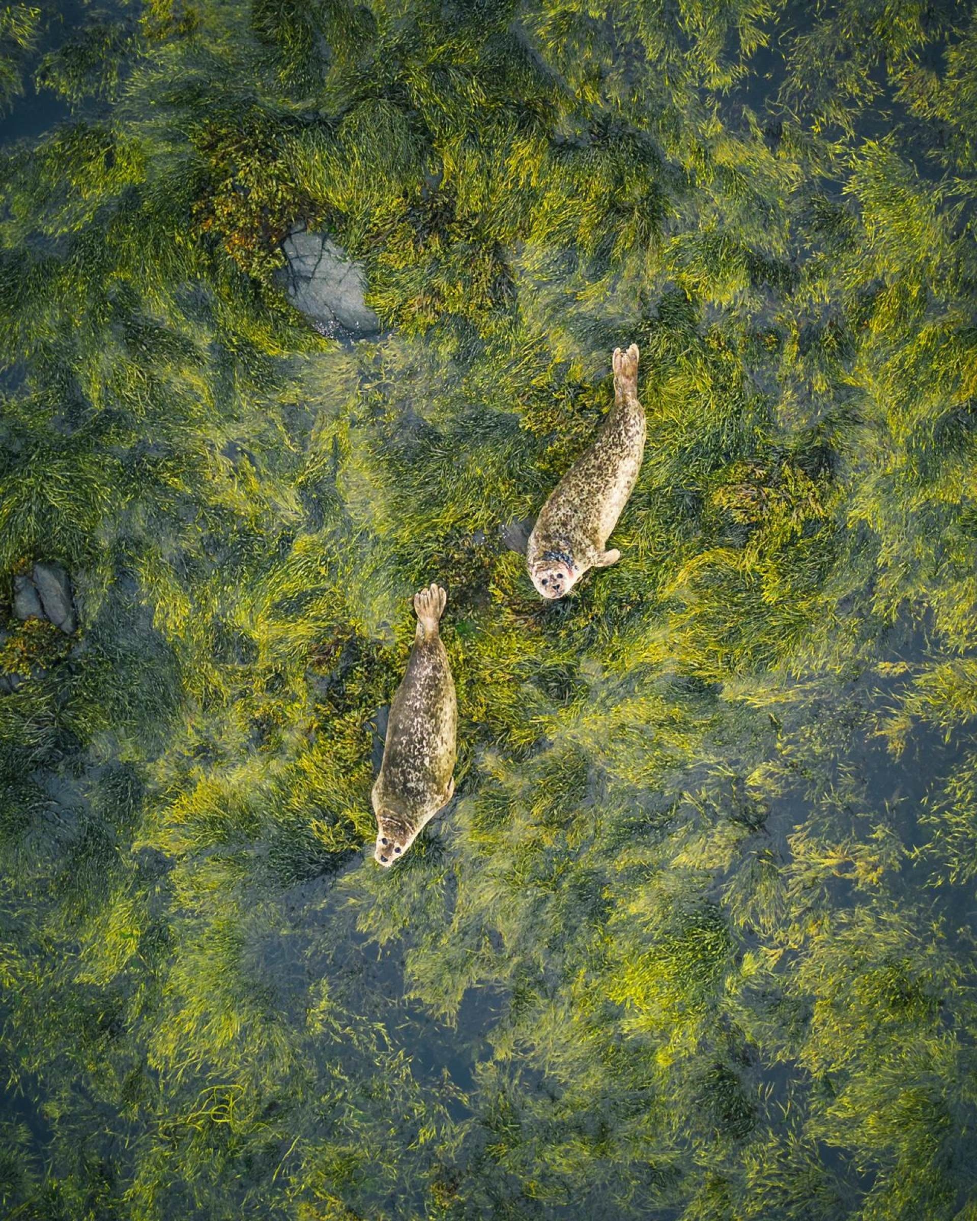 anh dep viet nam anh 2