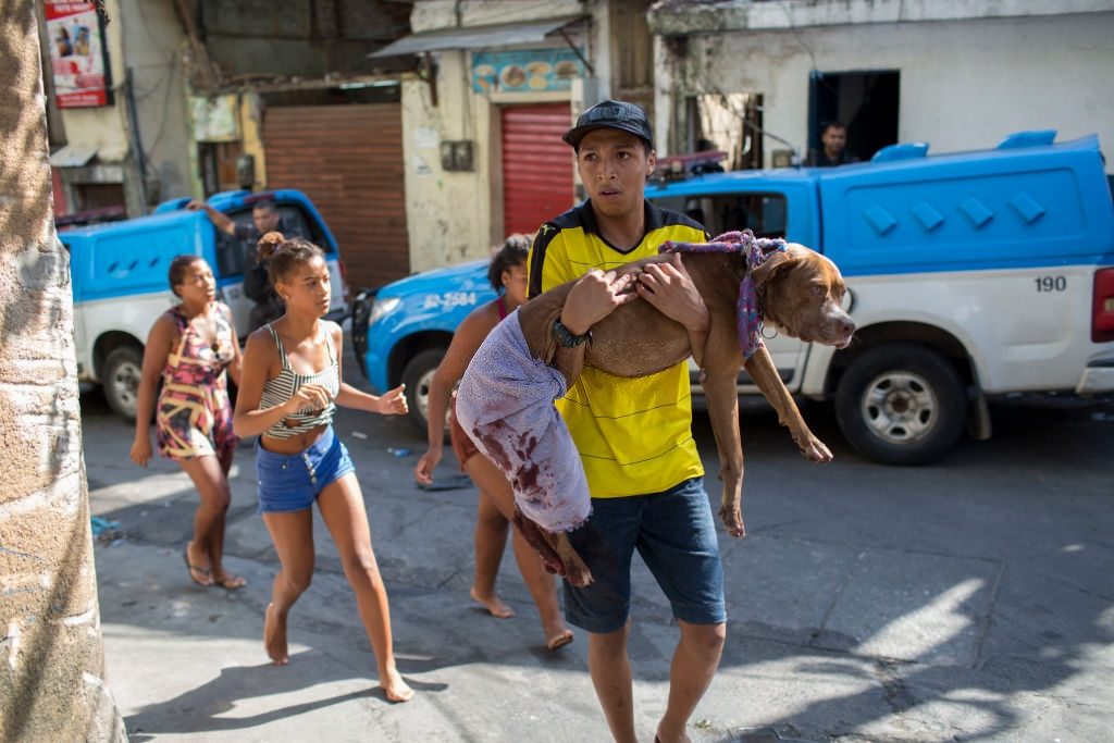 Khu o chuot favelas anh 14