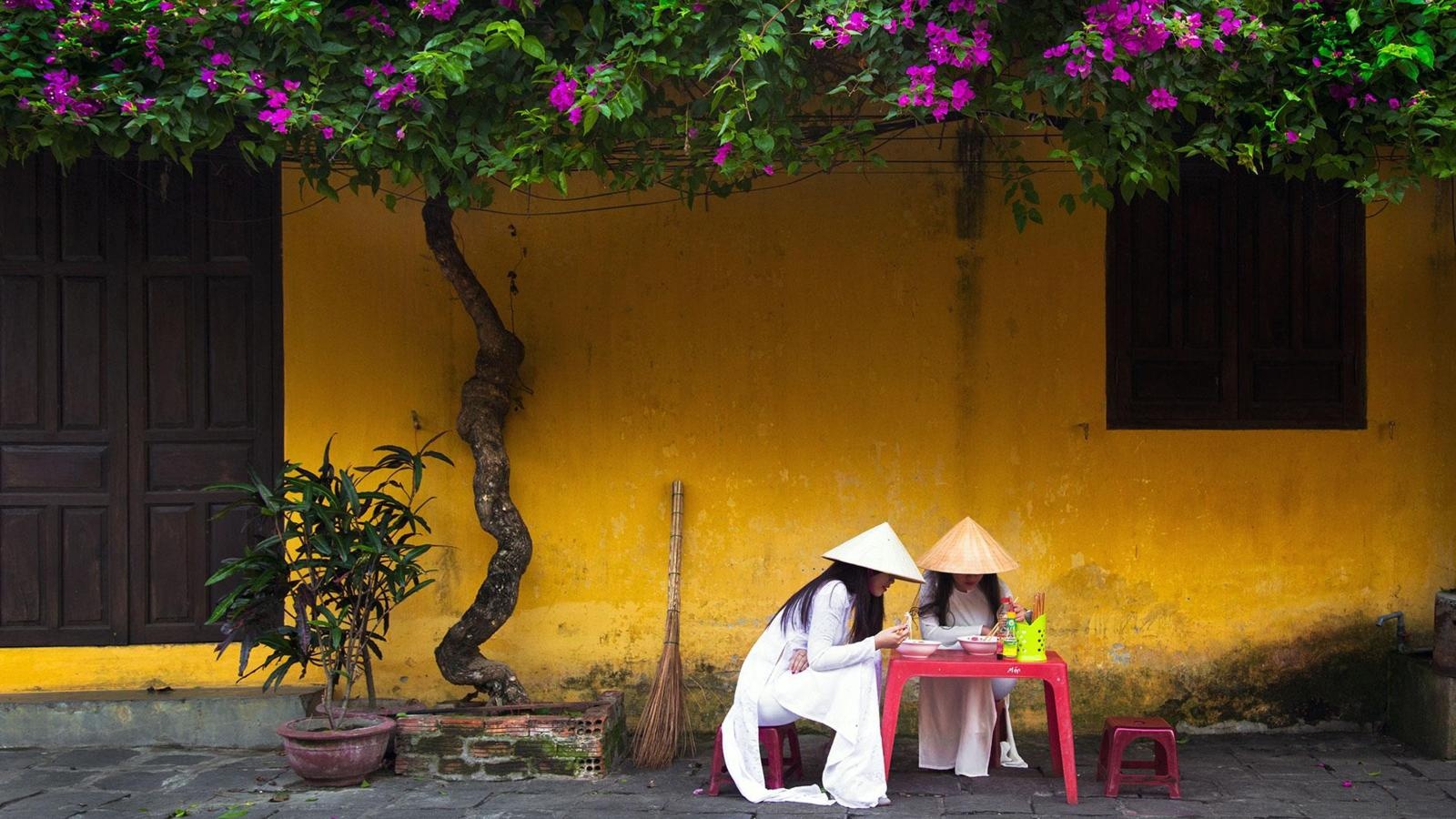 tường vàng hội an ảnh 3 tuong vang hoi an anh 3
