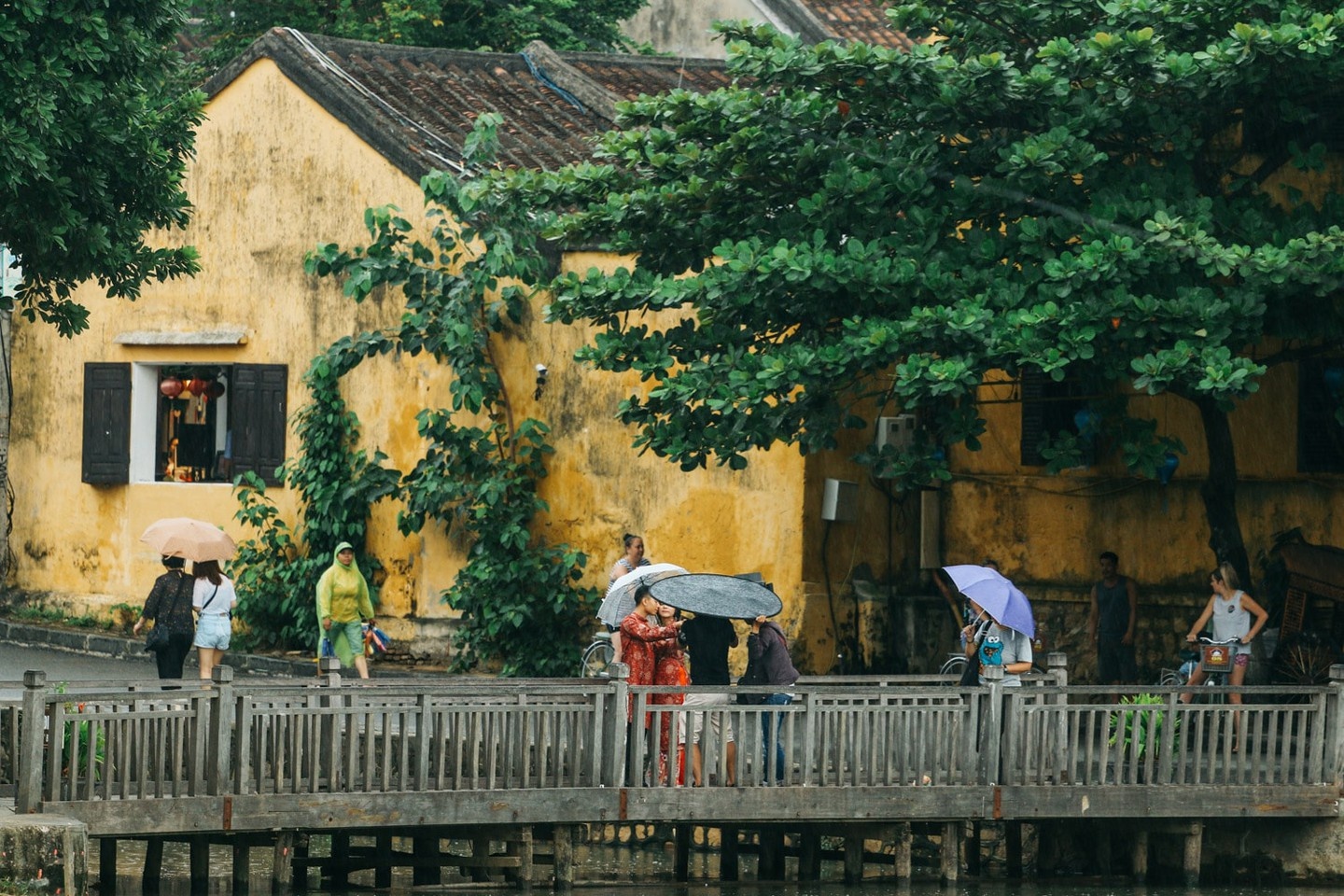 tường vàng hội an ảnh 8 tuong vang hoi an anh 8