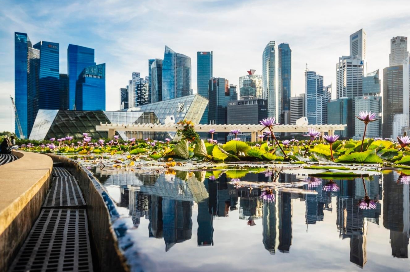 3 quoc gia giu ngoi sach nhat the gioi nho luat phap cung ran hinh anh