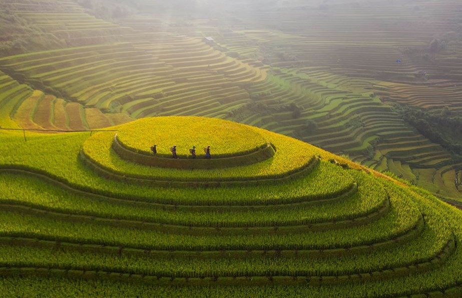 du lich viet nam anh 7