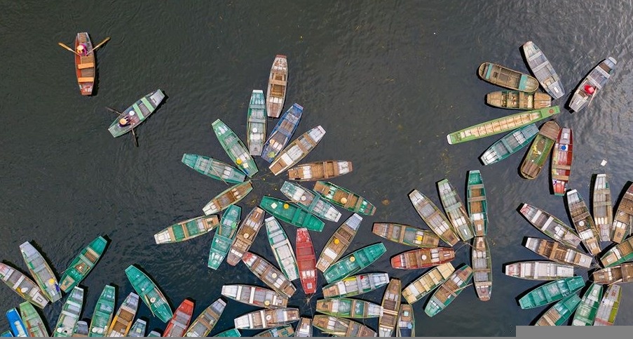 du lich viet nam anh 14