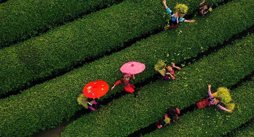 du lich viet nam anh 9