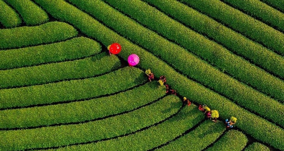 du lich viet nam anh 8