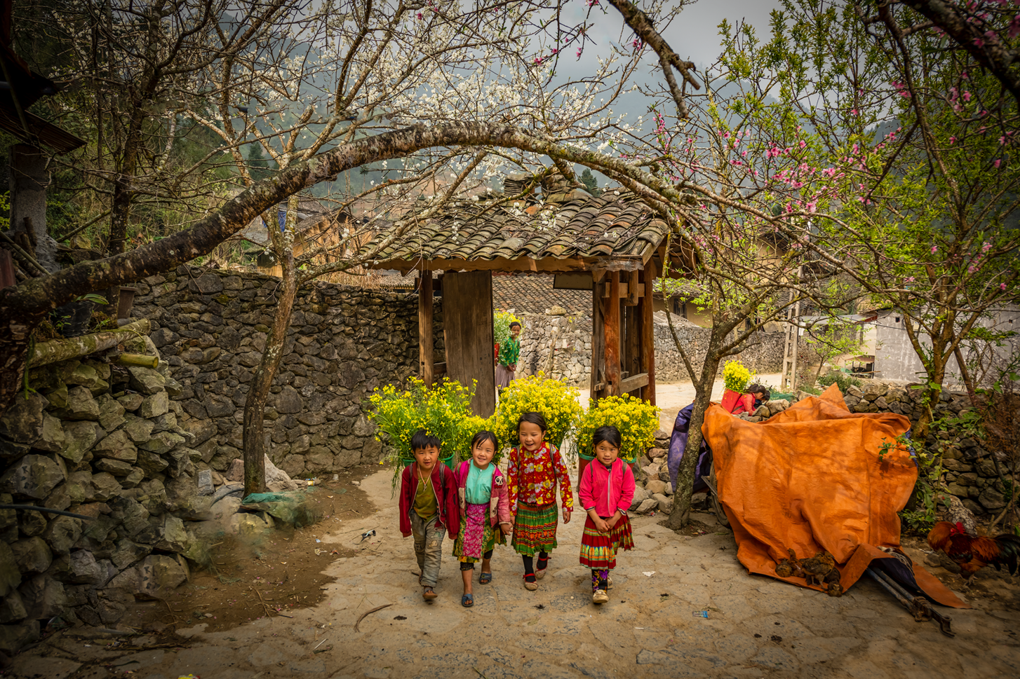 du lich viet nam anh 23