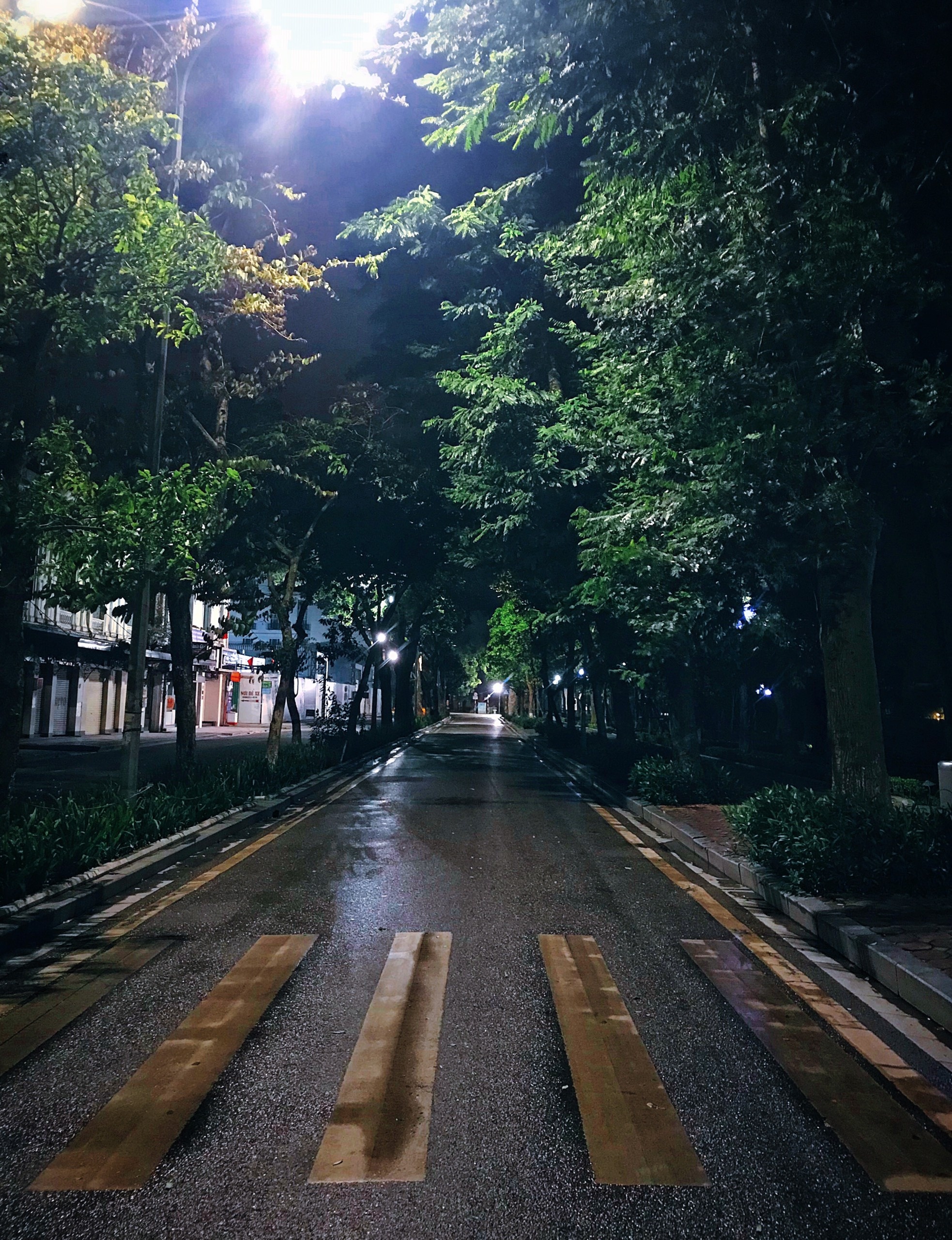 ha noi ve dem anh 19