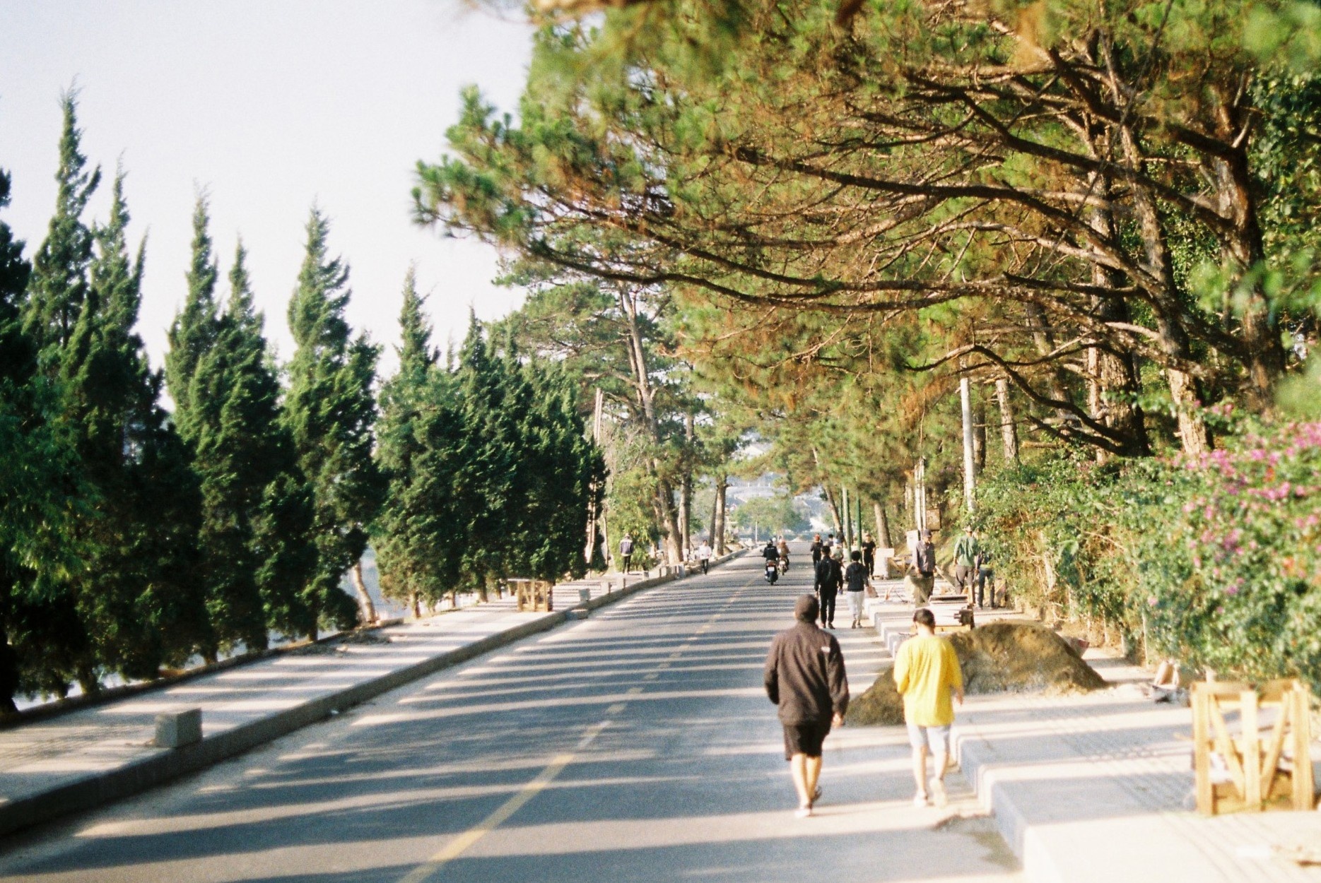 Nhieu doanh nghiep Du lich lo tiep tuc lo vi benh dich hinh anh