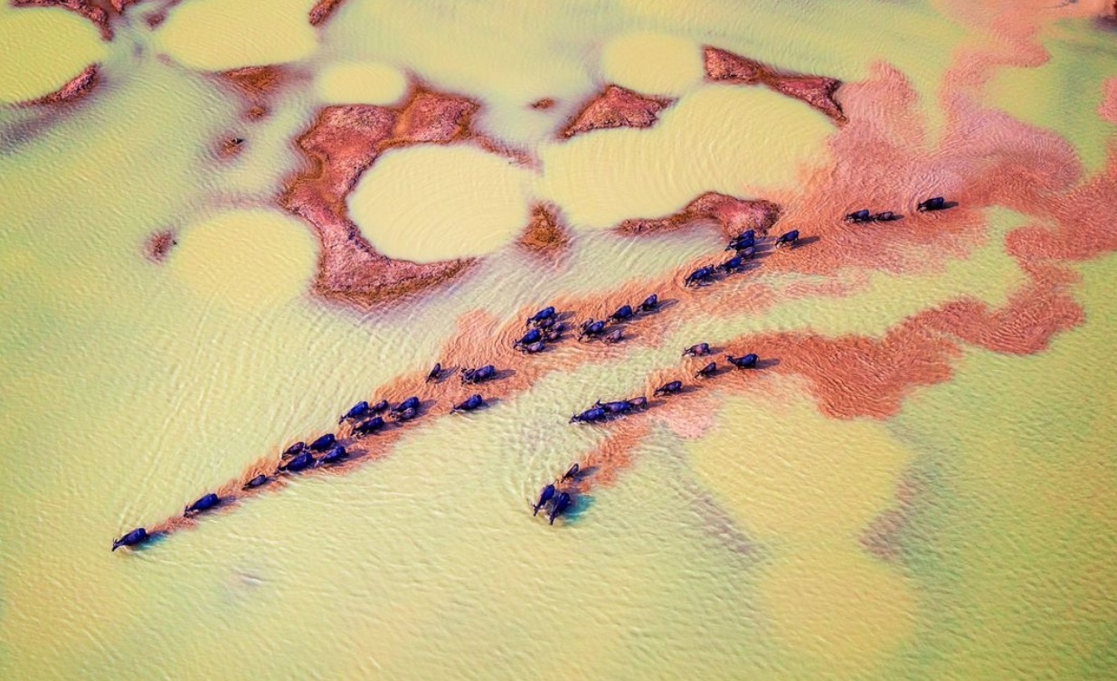 anh dep viet nam anh 4