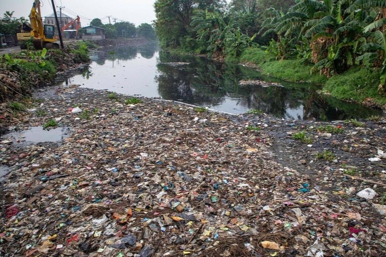 Khung canh nhung khu rung bi con nguoi pha huy hinh anh