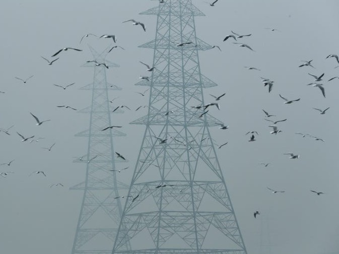 cách ly xã hội ảnh 7 cach ly xa hoi anh 7