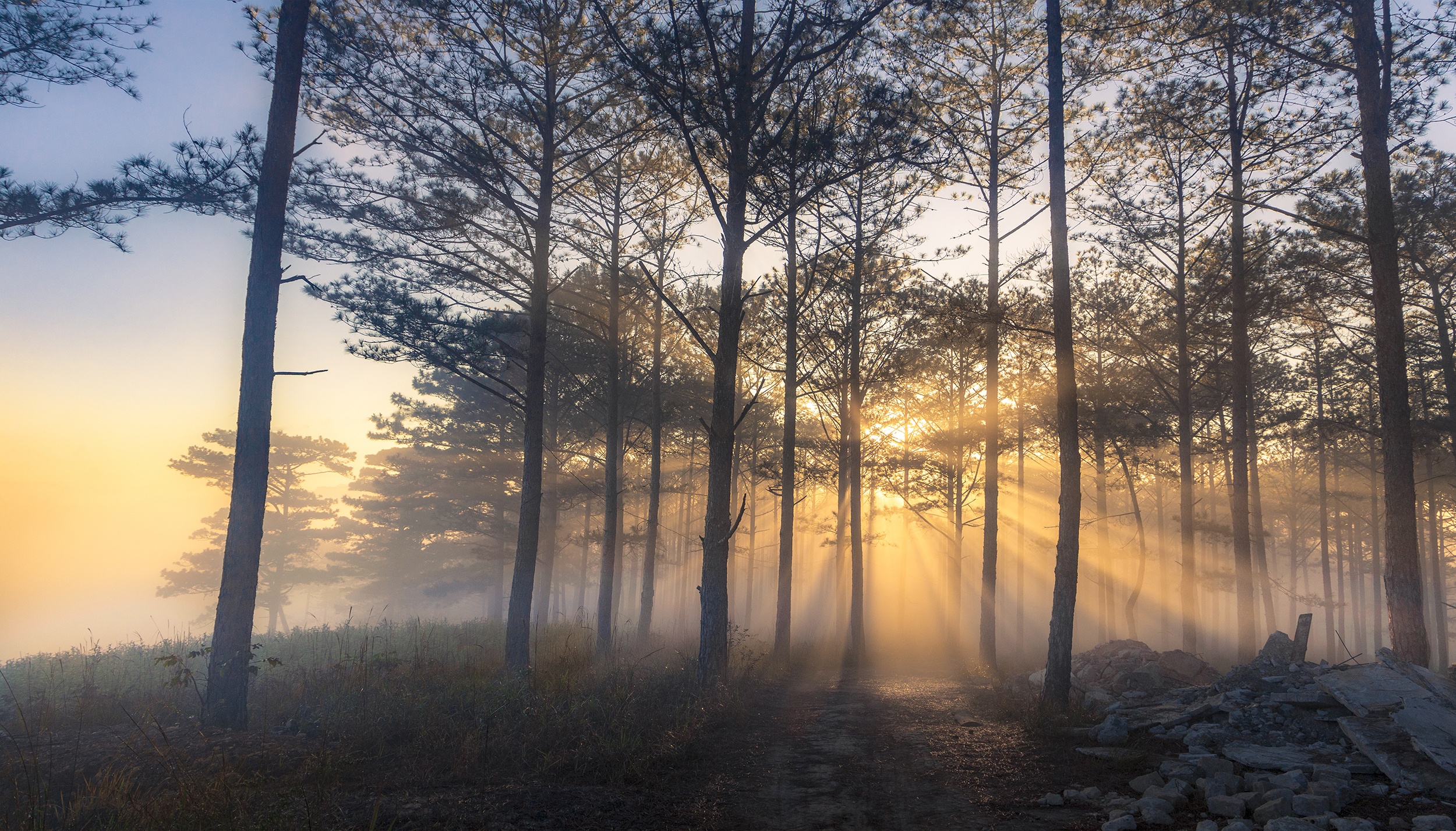 du lich da lat anh 6