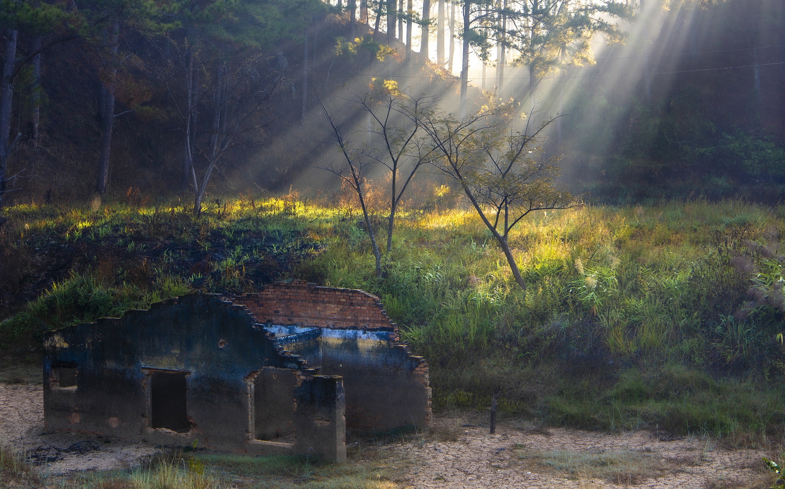 du lich da lat anh 5