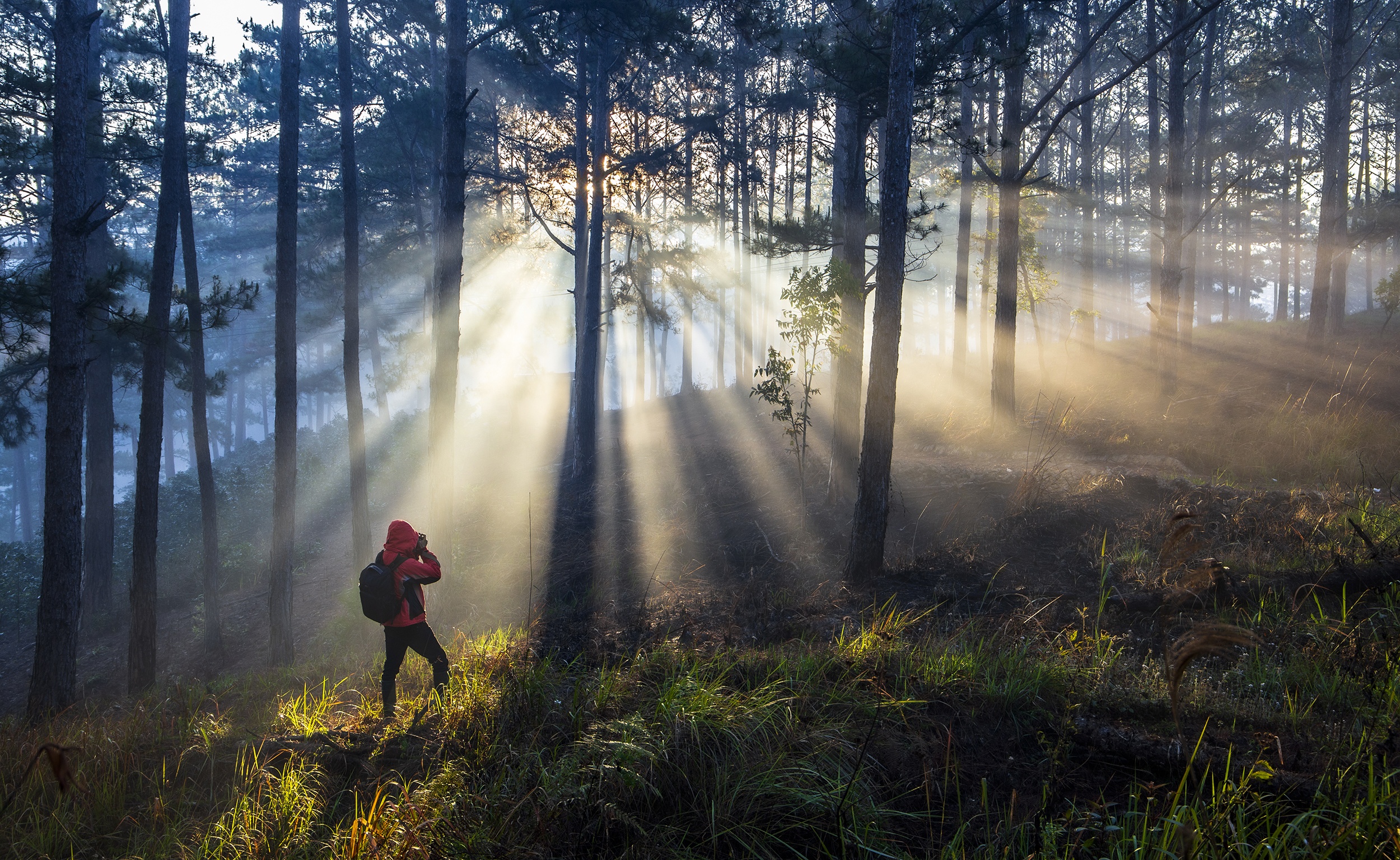 du lich da lat anh 1