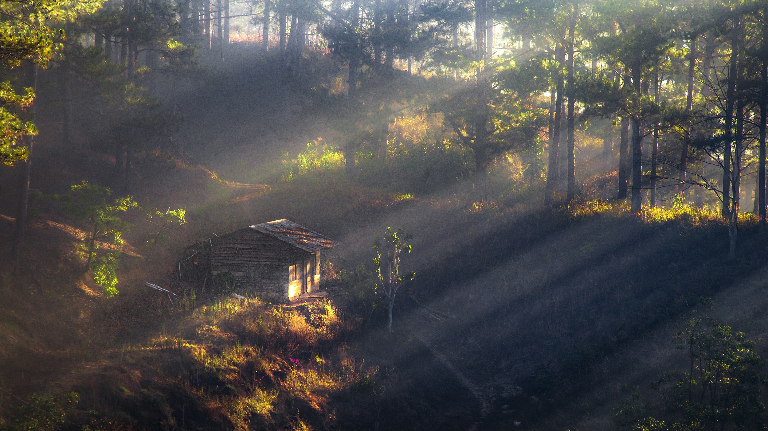 du lich da lat anh 8