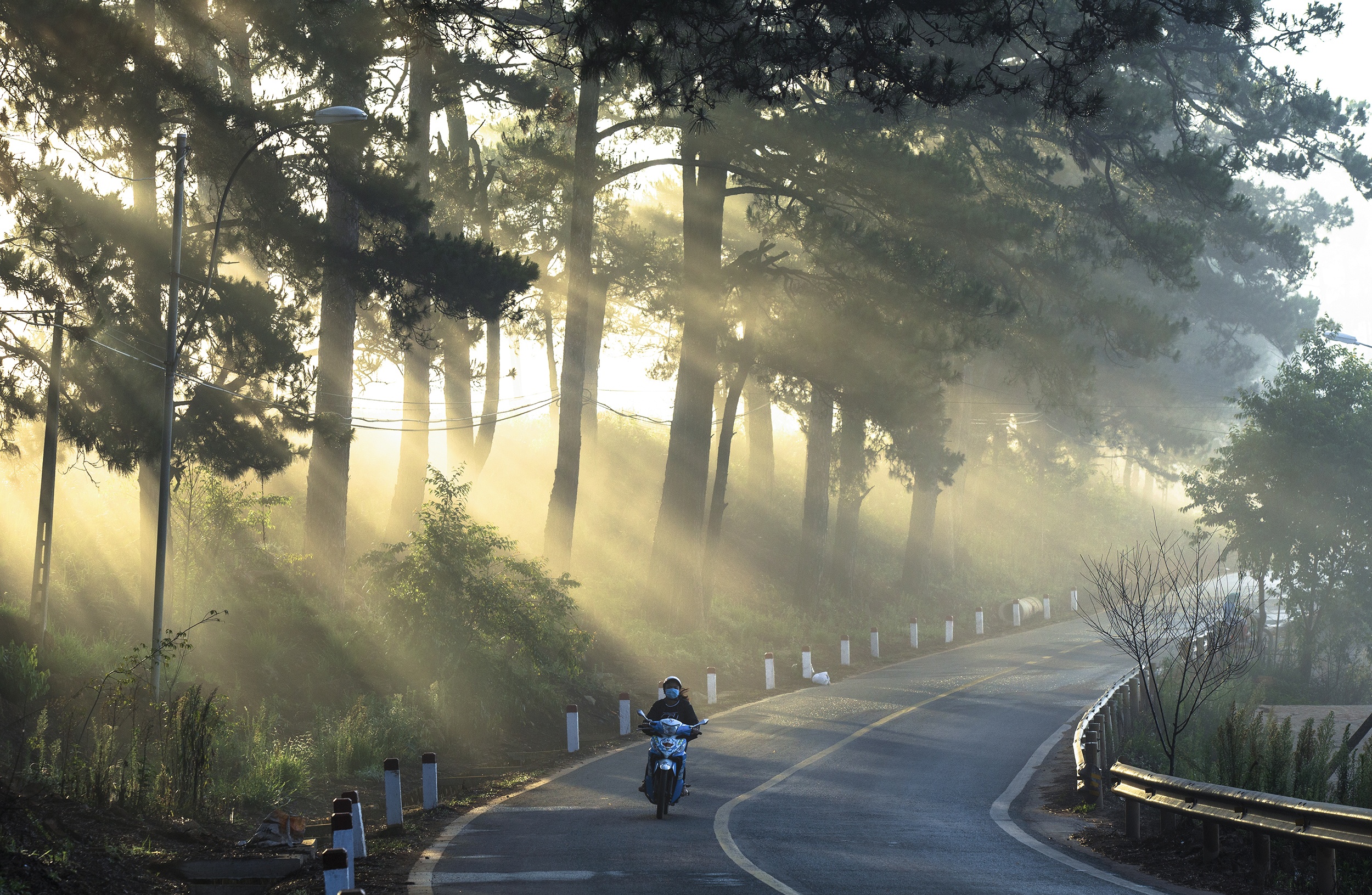 du lich da lat anh 3