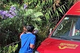 Du khach be phuong tim Da Lat gay buc xuc hinh anh