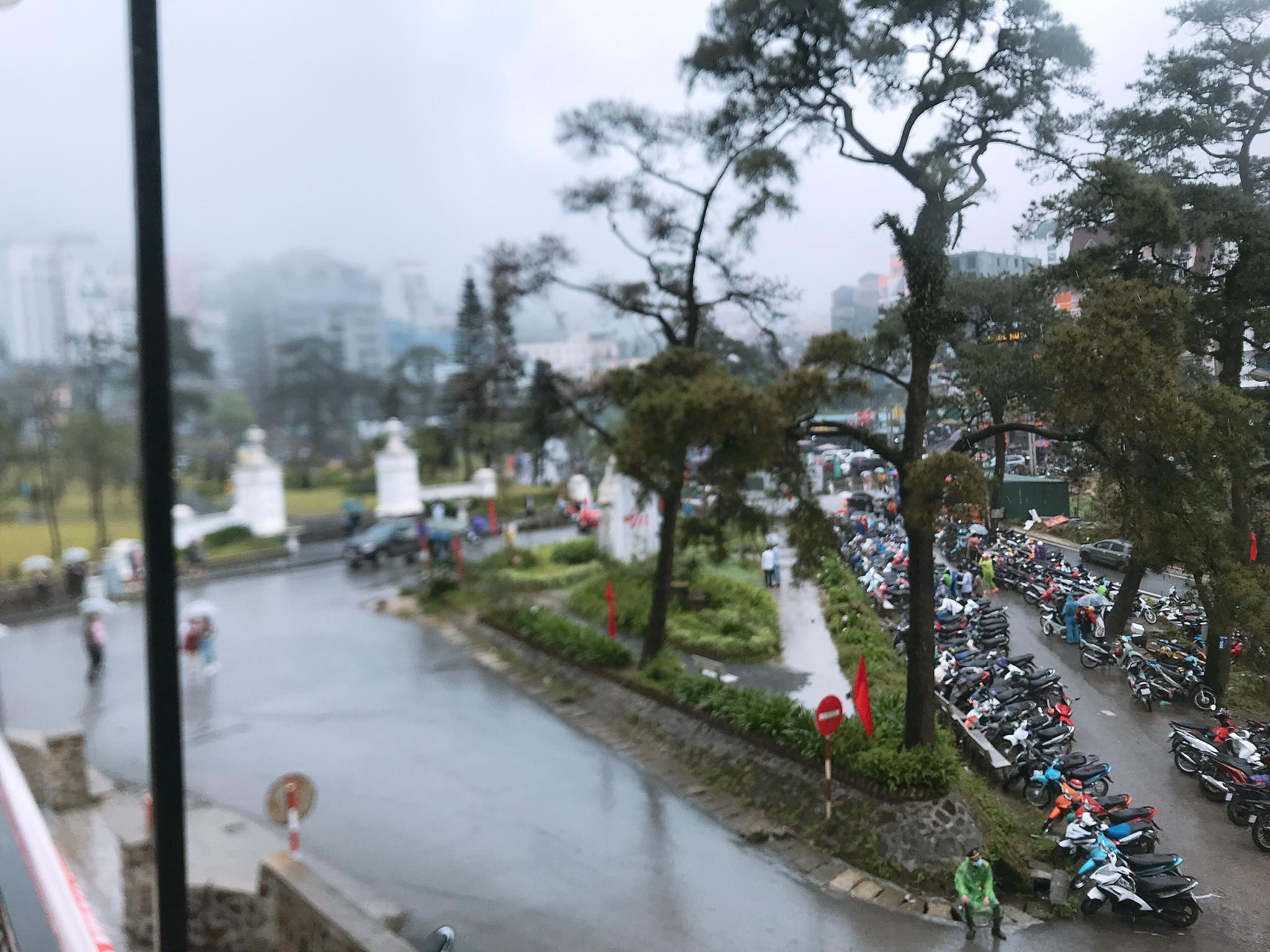 du lich tam dao anh 1