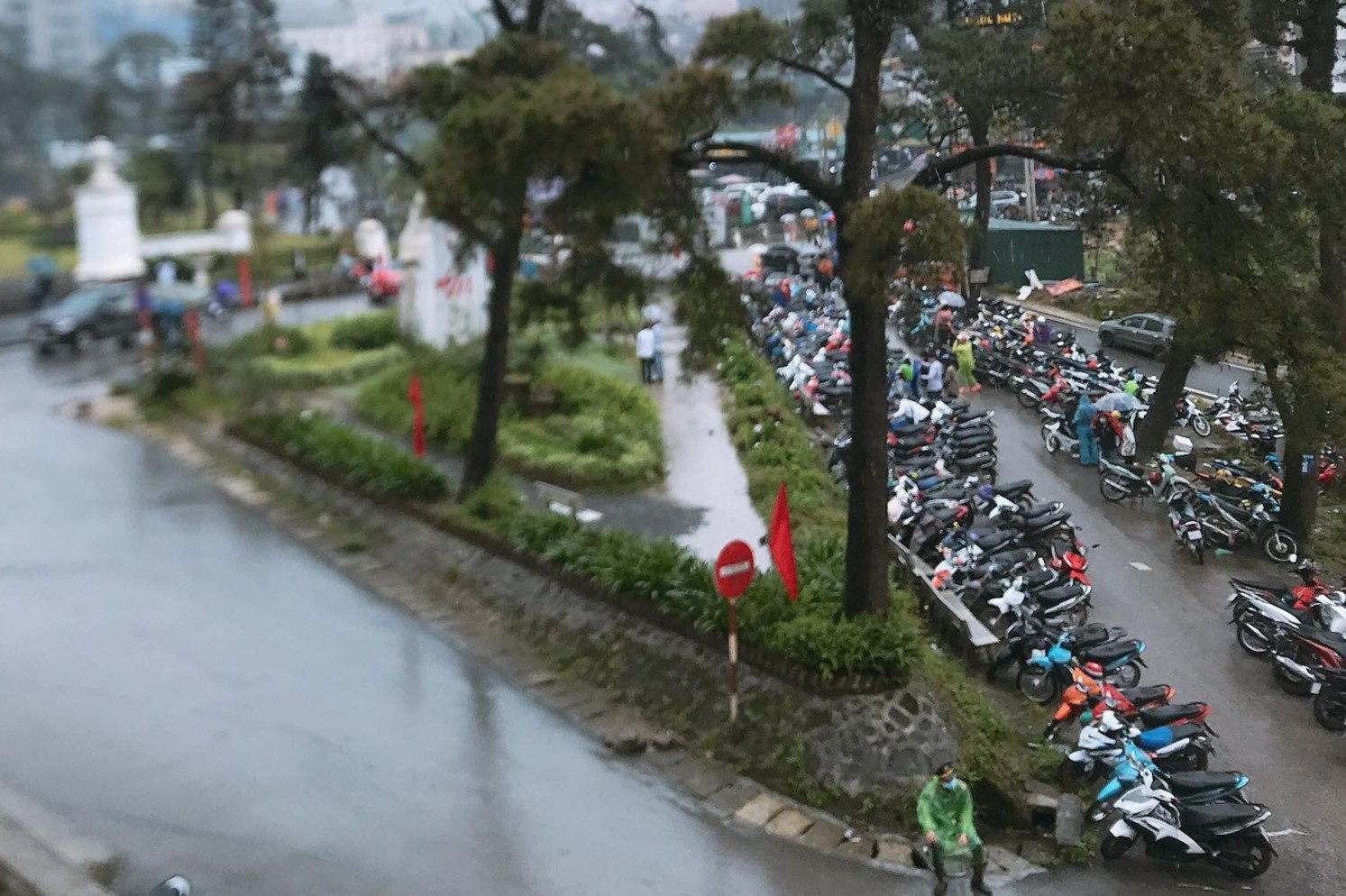 Tam Dao dong khach nhung khong un tac nhu dip le hang nam hinh anh