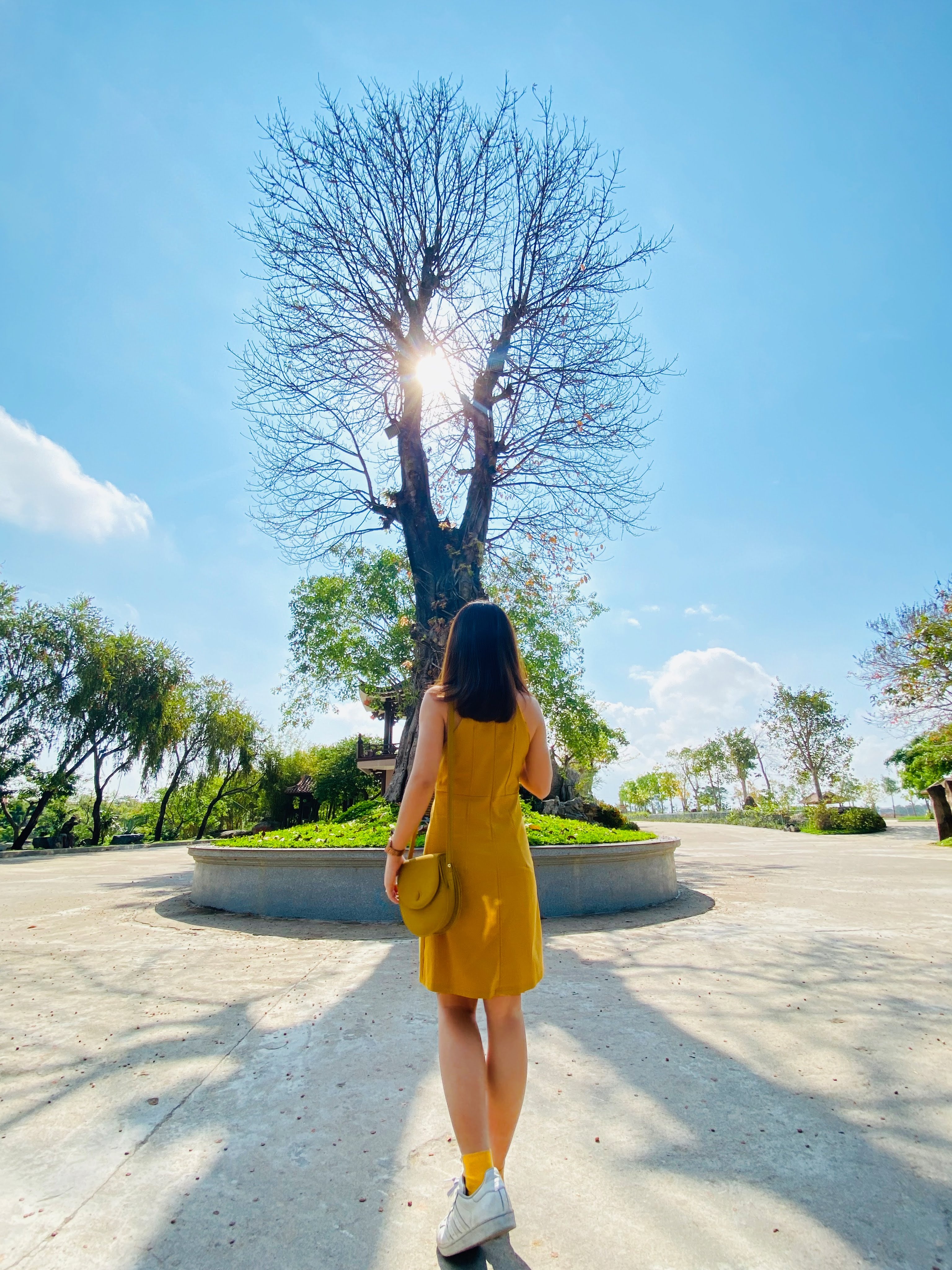 du lịch quy nhơn ảnh 6 du lich quy nhon anh 6