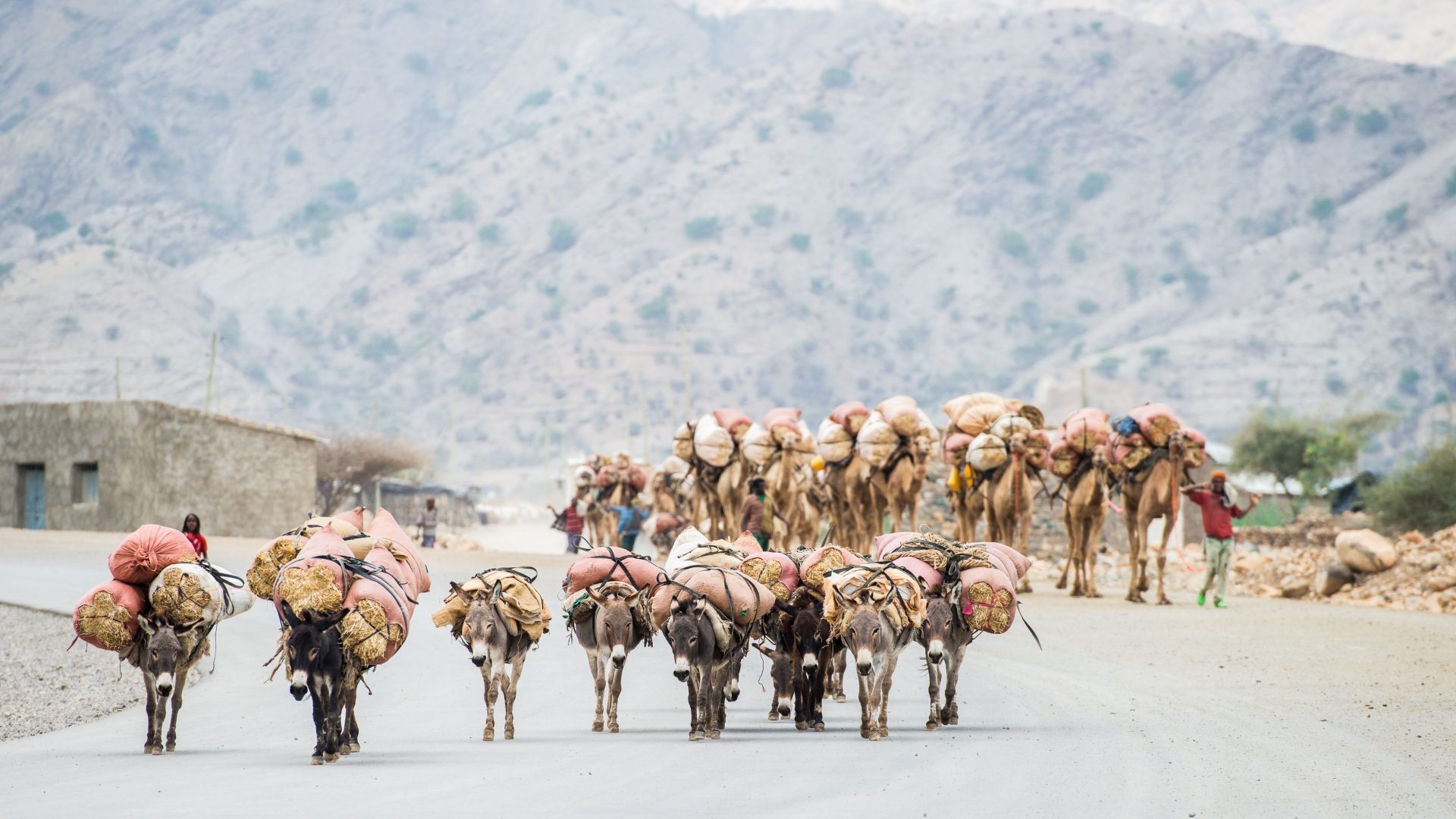 noi nong nhat the gioi anh 4