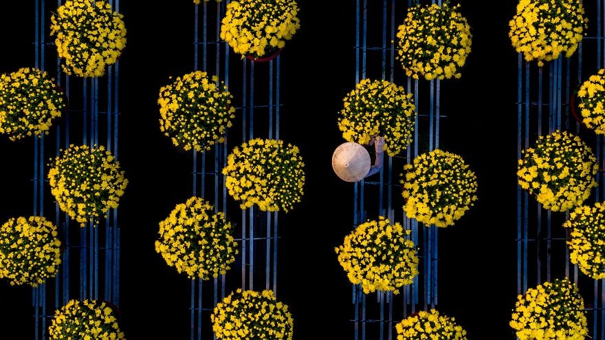 anh dep viet nam anh 4