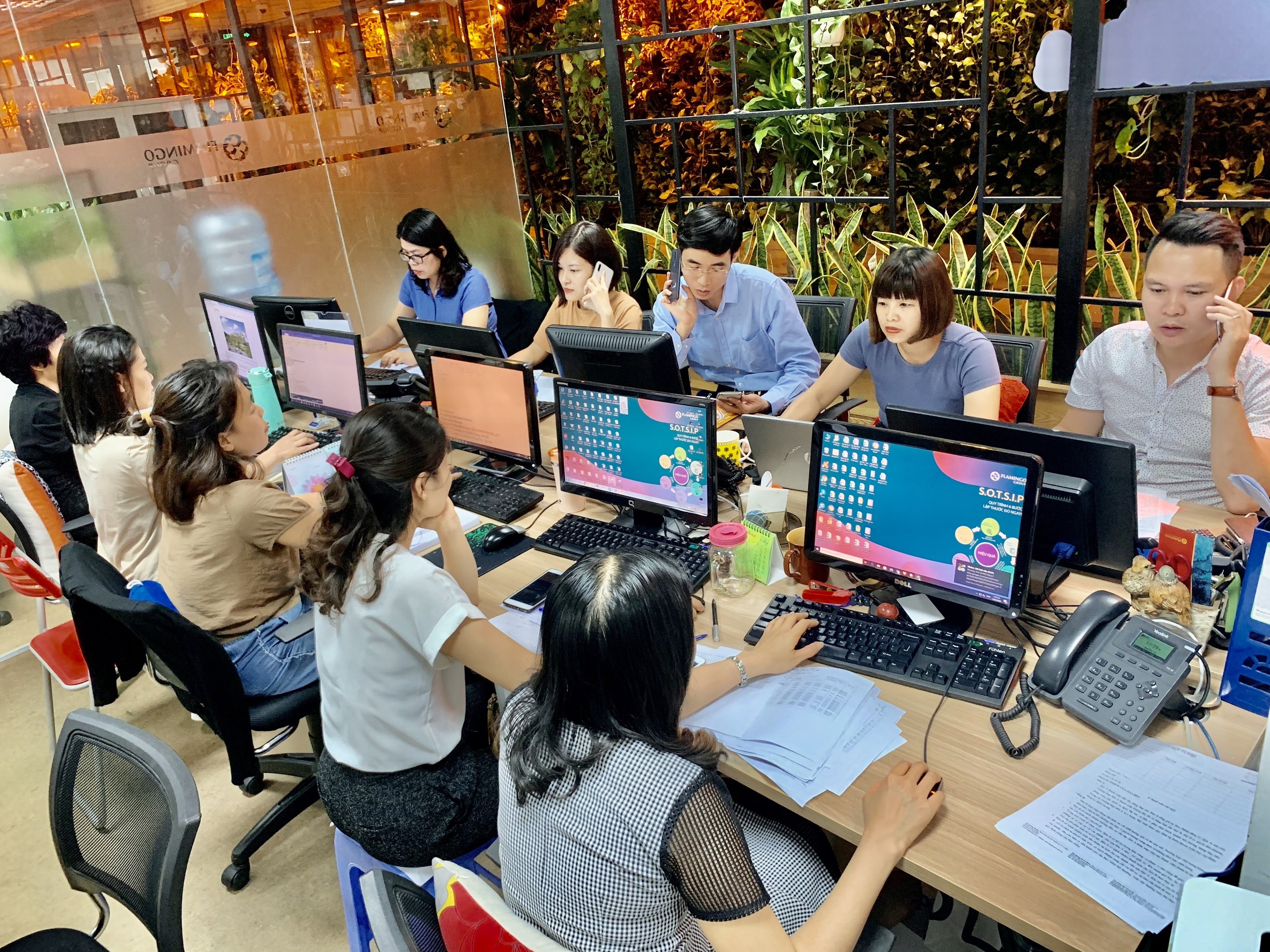 tour du lich viet nam anh 2