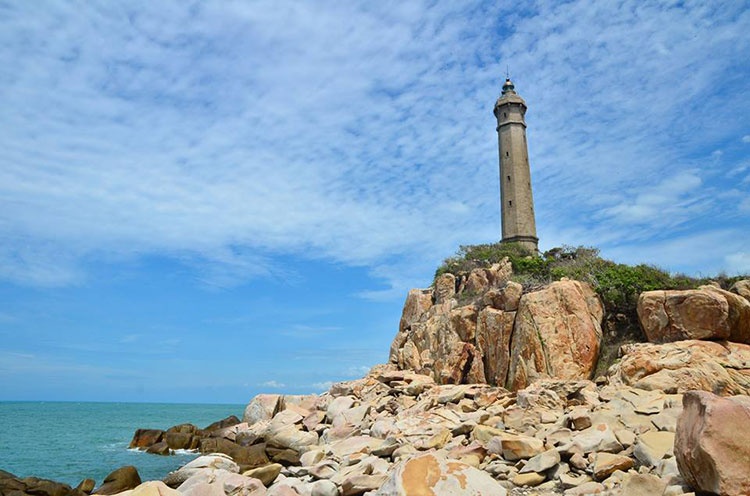 Ngon hai dang o Viet Nam co tuoi doi lon nhat Dong Nam A hinh anh