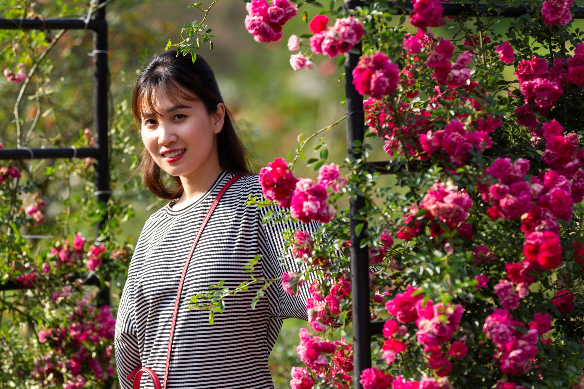 thung lung hoa hong anh 5