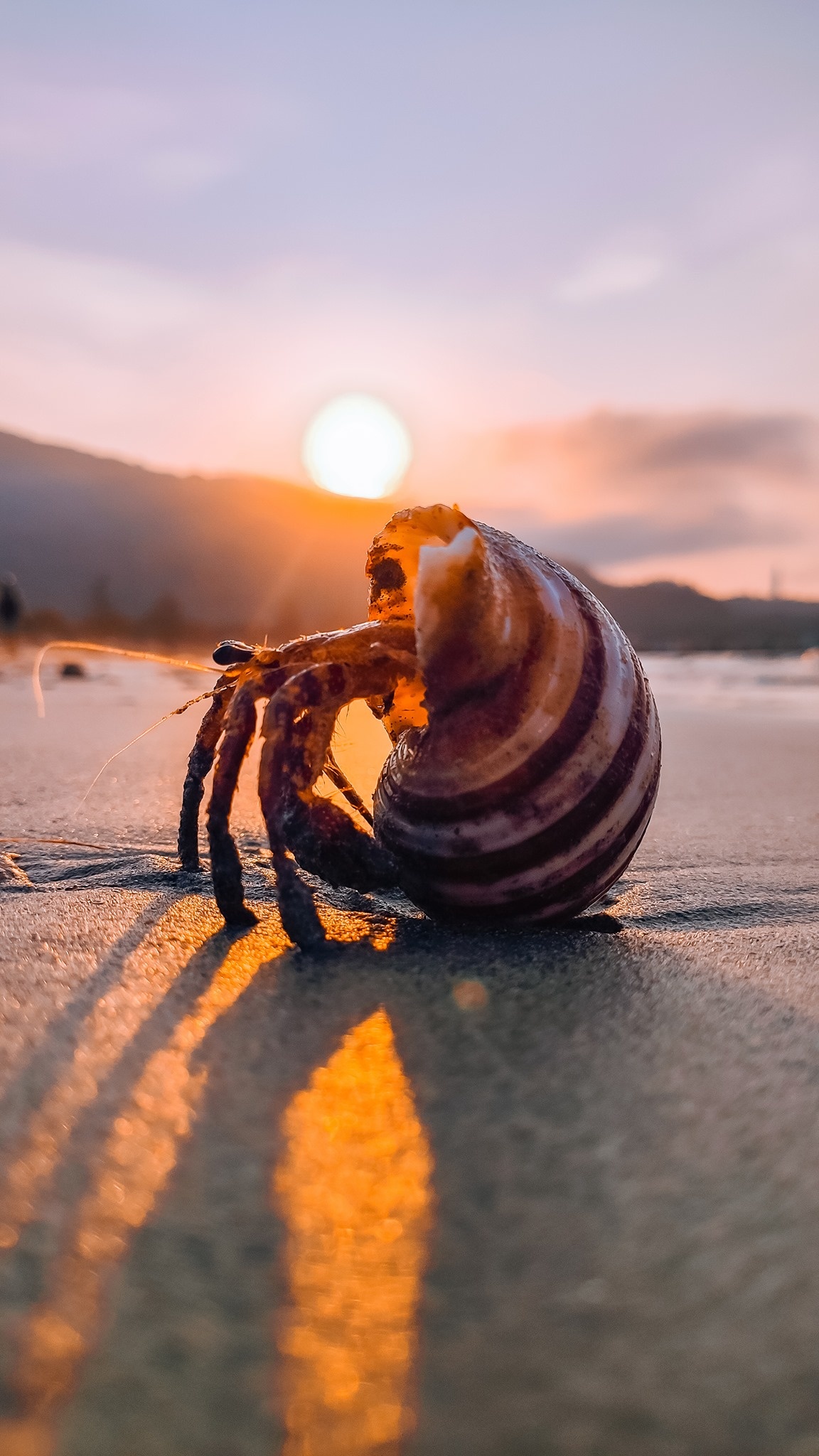 du lich da nang anh 3