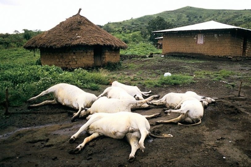 Ho nuoc tu than gay tham hoa 36 nam truoc hinh anh