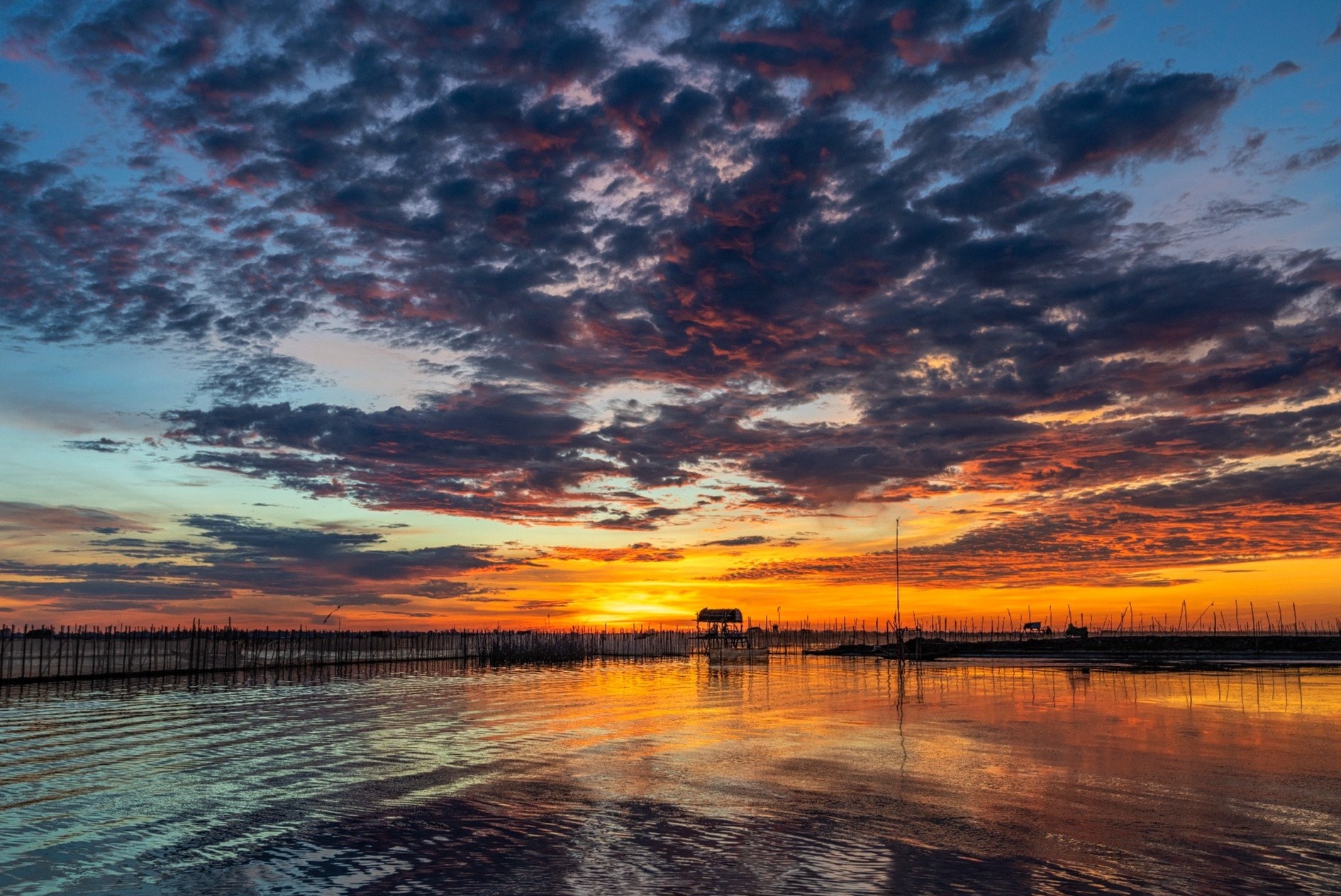 Bau troi doi mau trong khoanh khac ngu dan bat dau ngay moi o xu Hue hinh anh