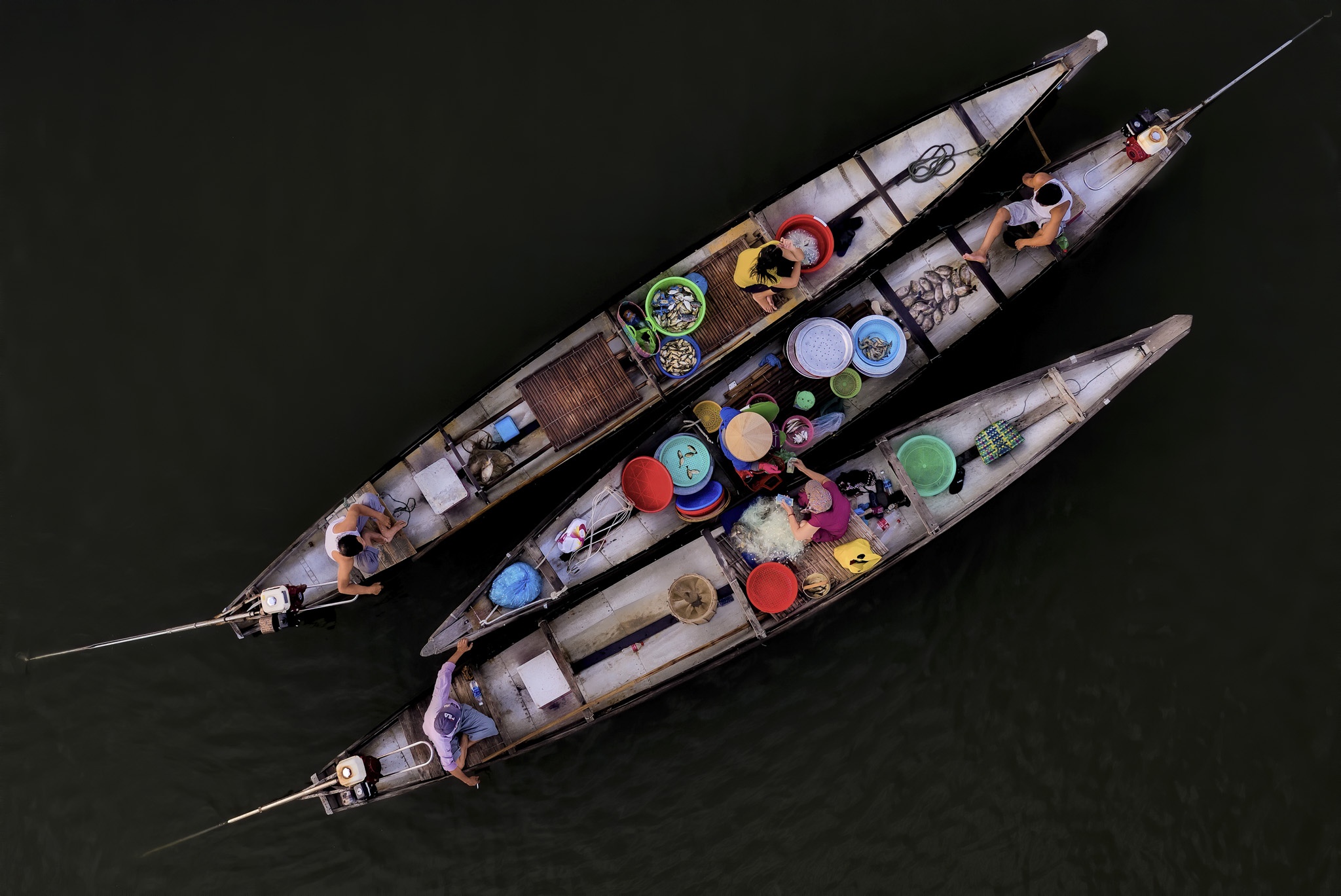 dam chuon o dau anh 6