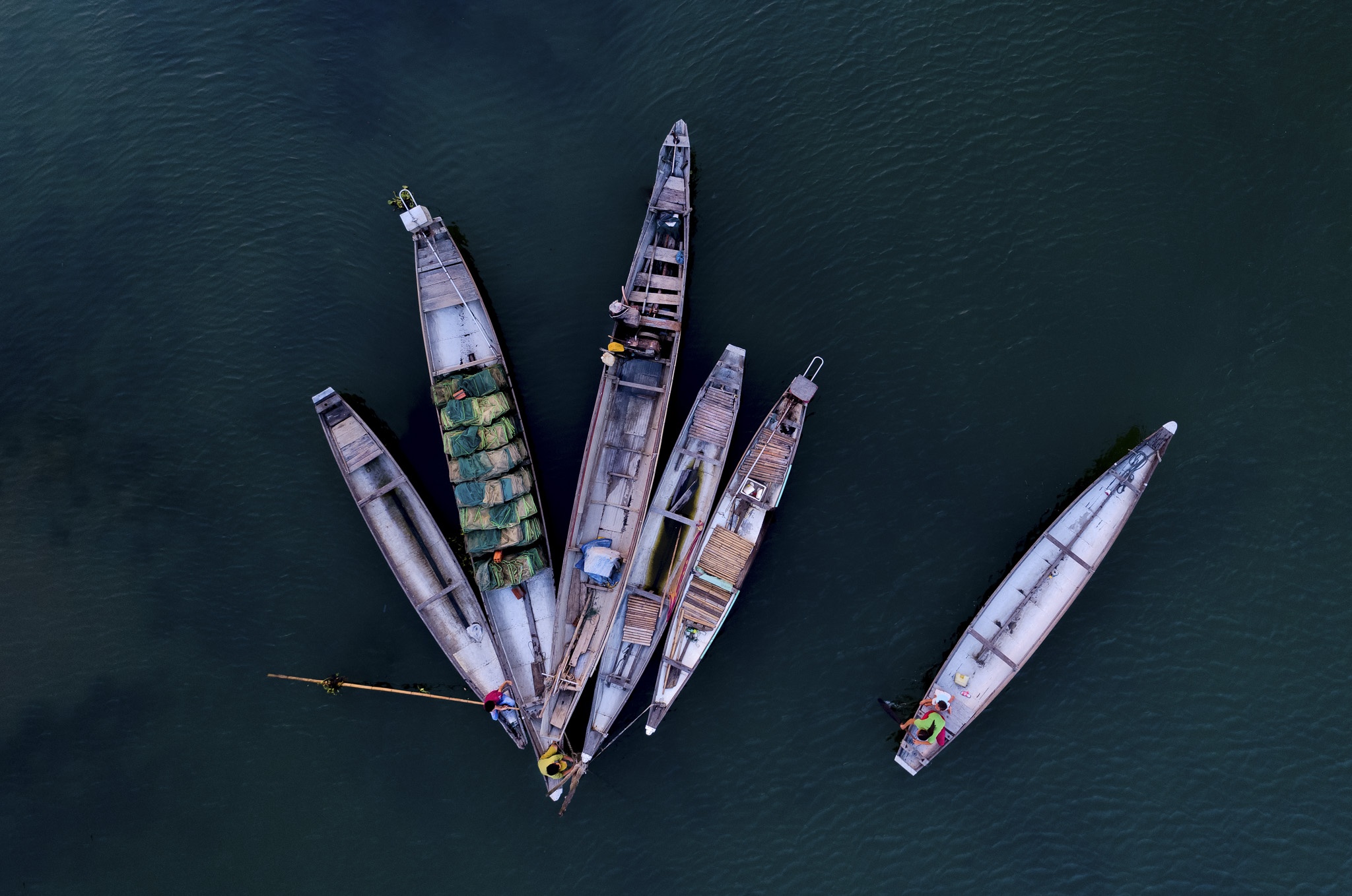 dam chuon o dau anh 7