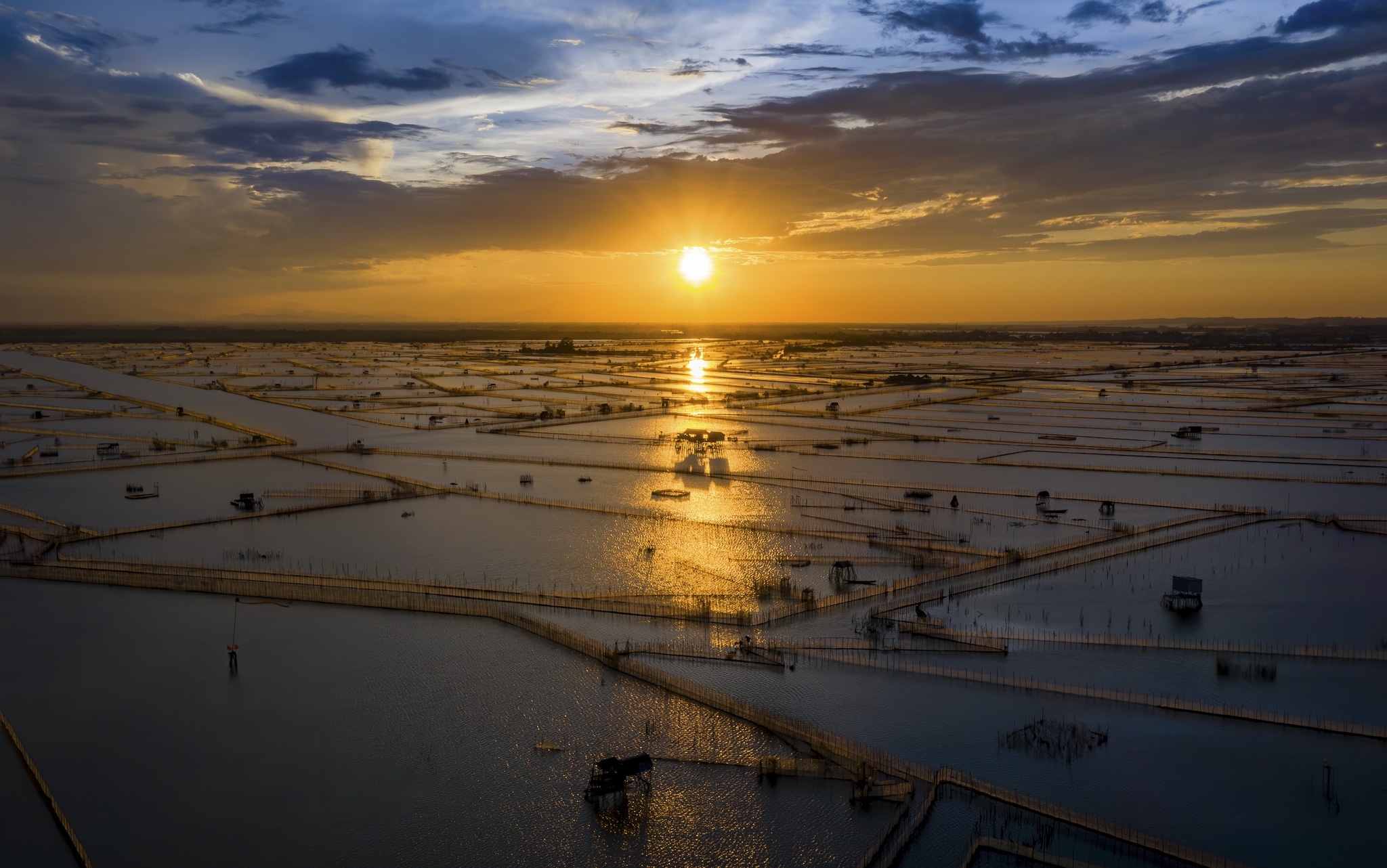 dam chuon o dau anh 10