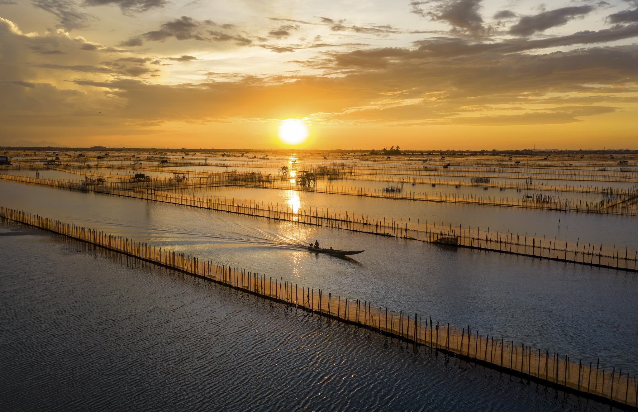 dam chuon o dau anh 11