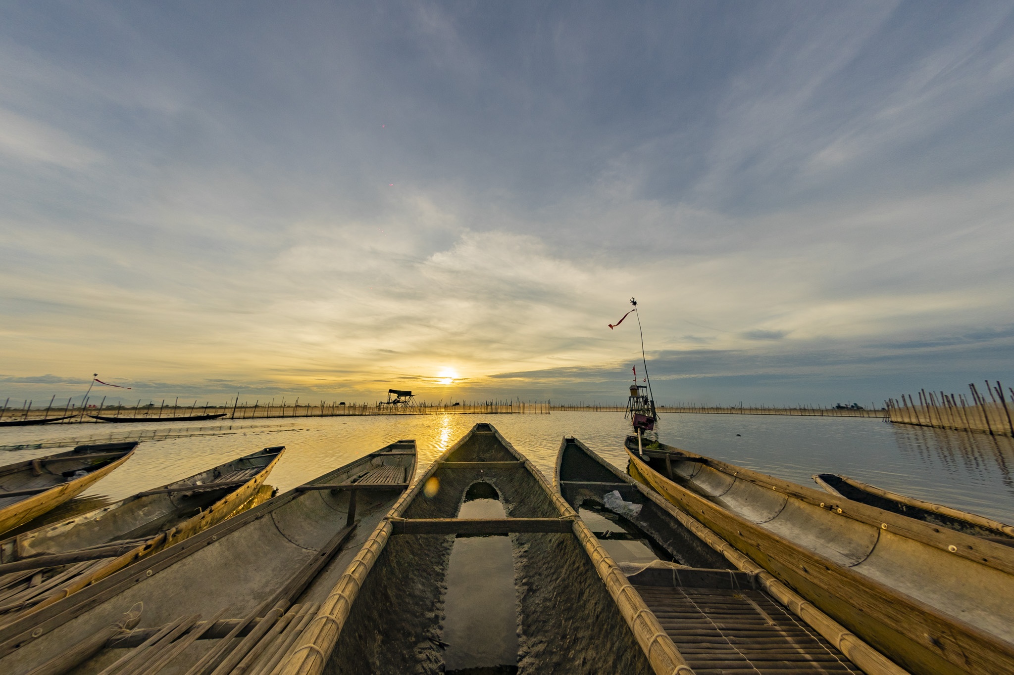 dam chuon o dau anh 9