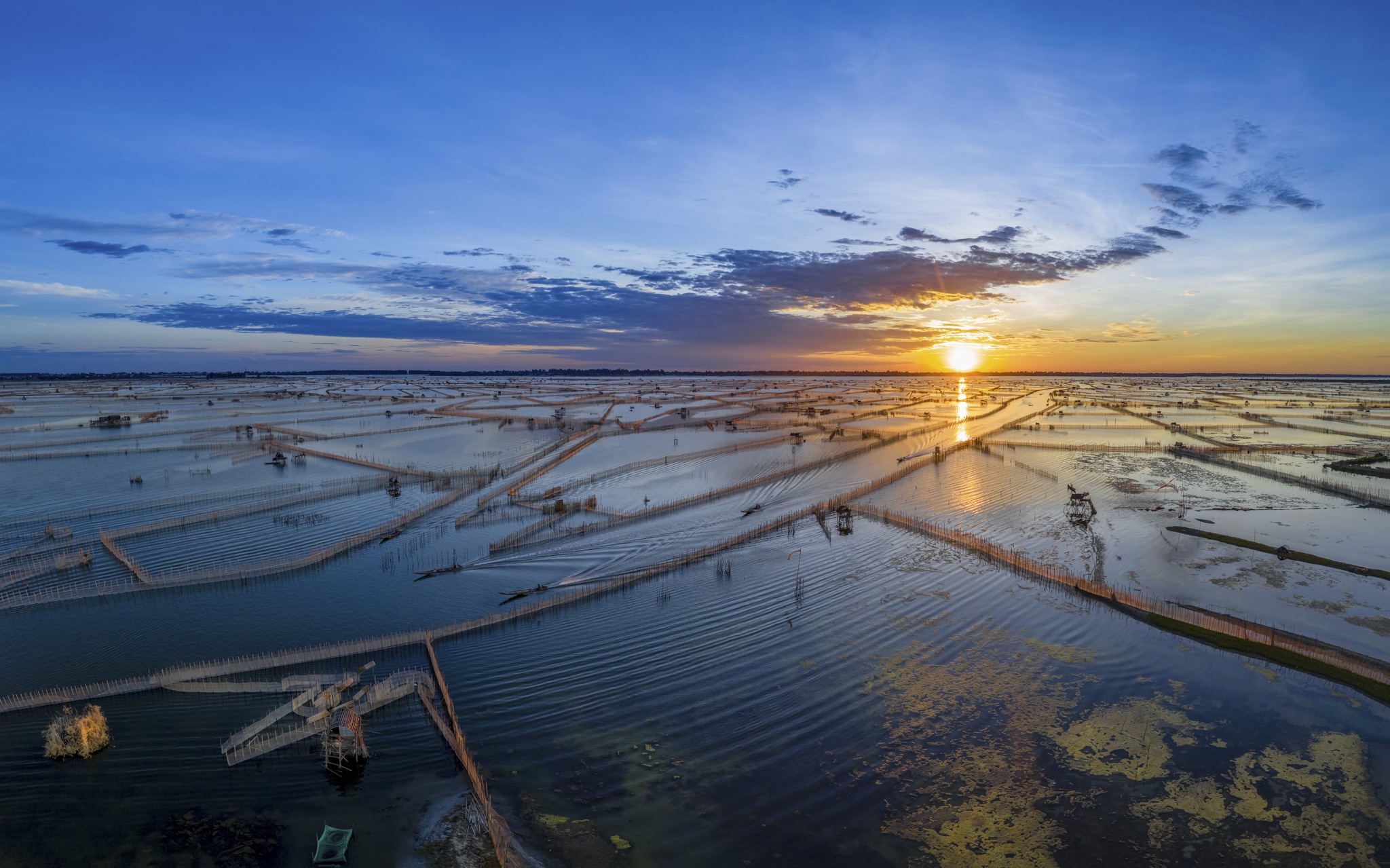 dam chuon o dau anh 2