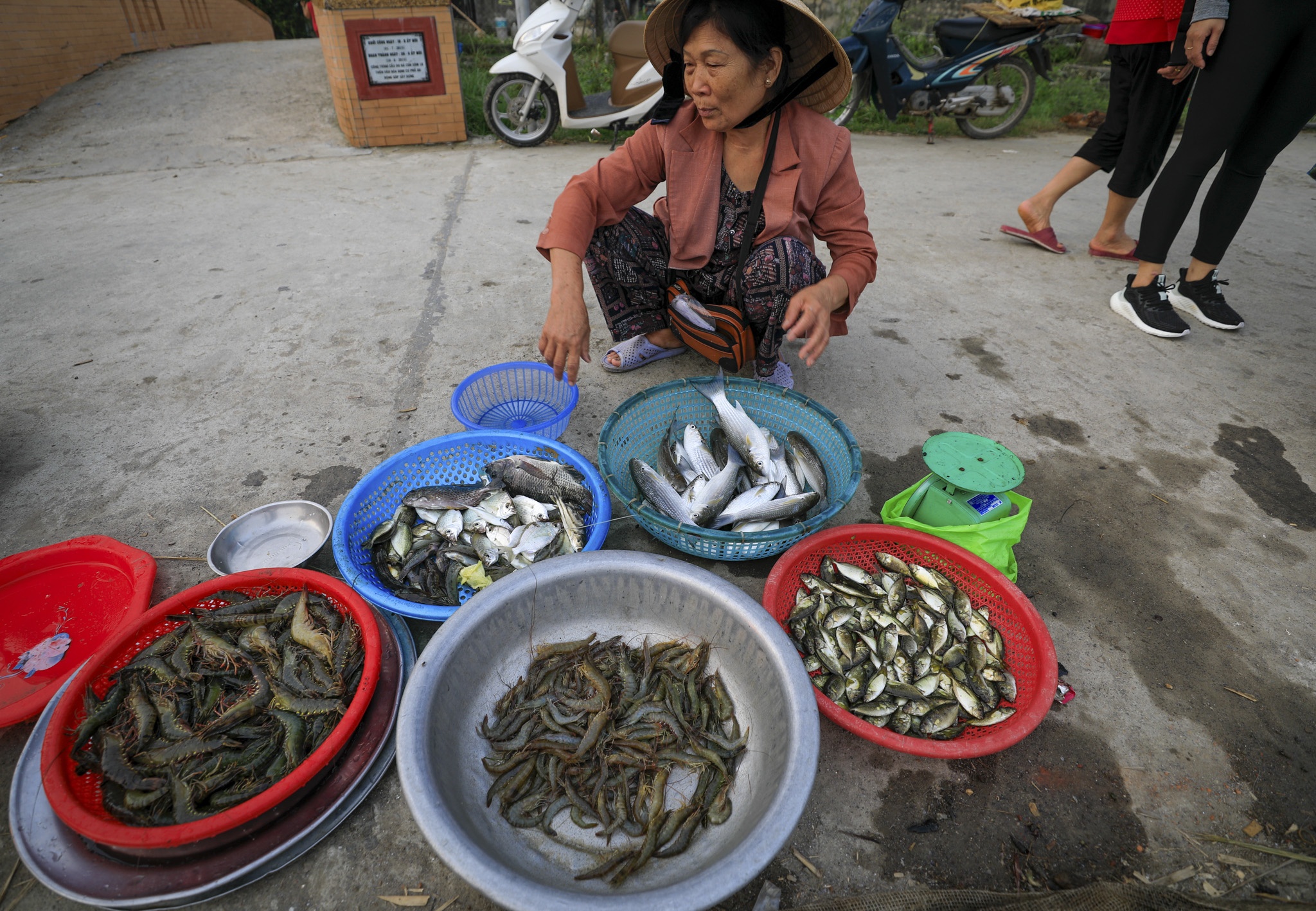 dam chuon o dau anh 20