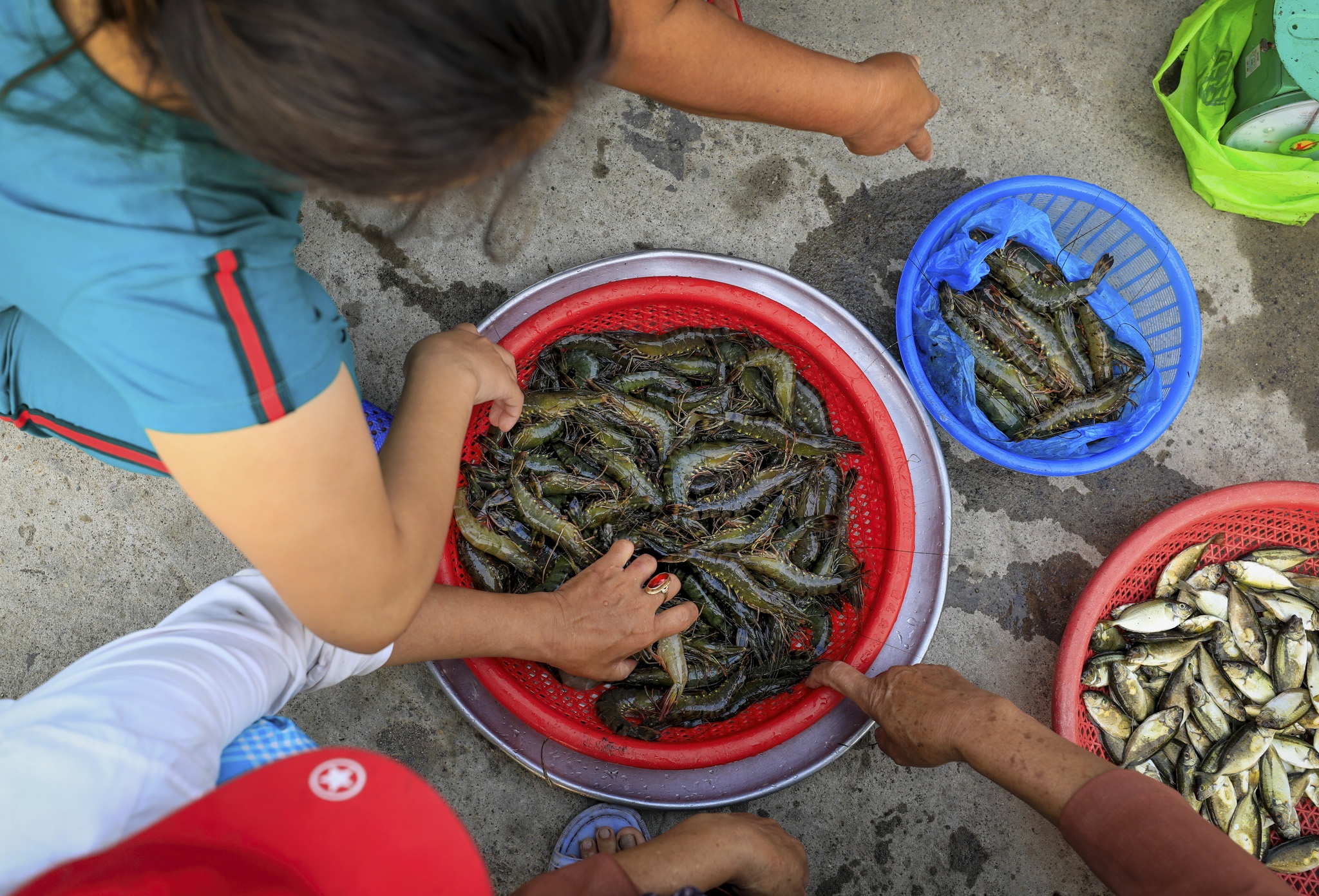 dam chuon o dau anh 21