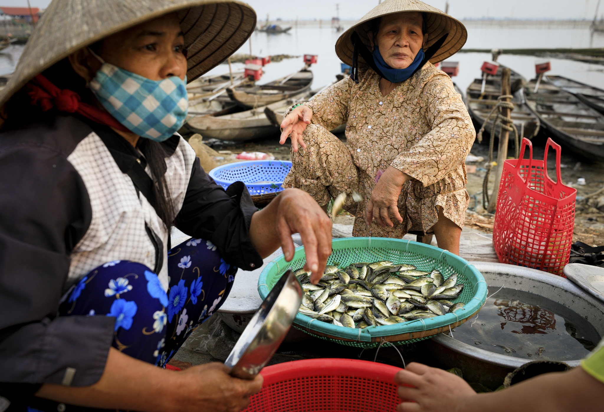 dam chuon o dau anh 22