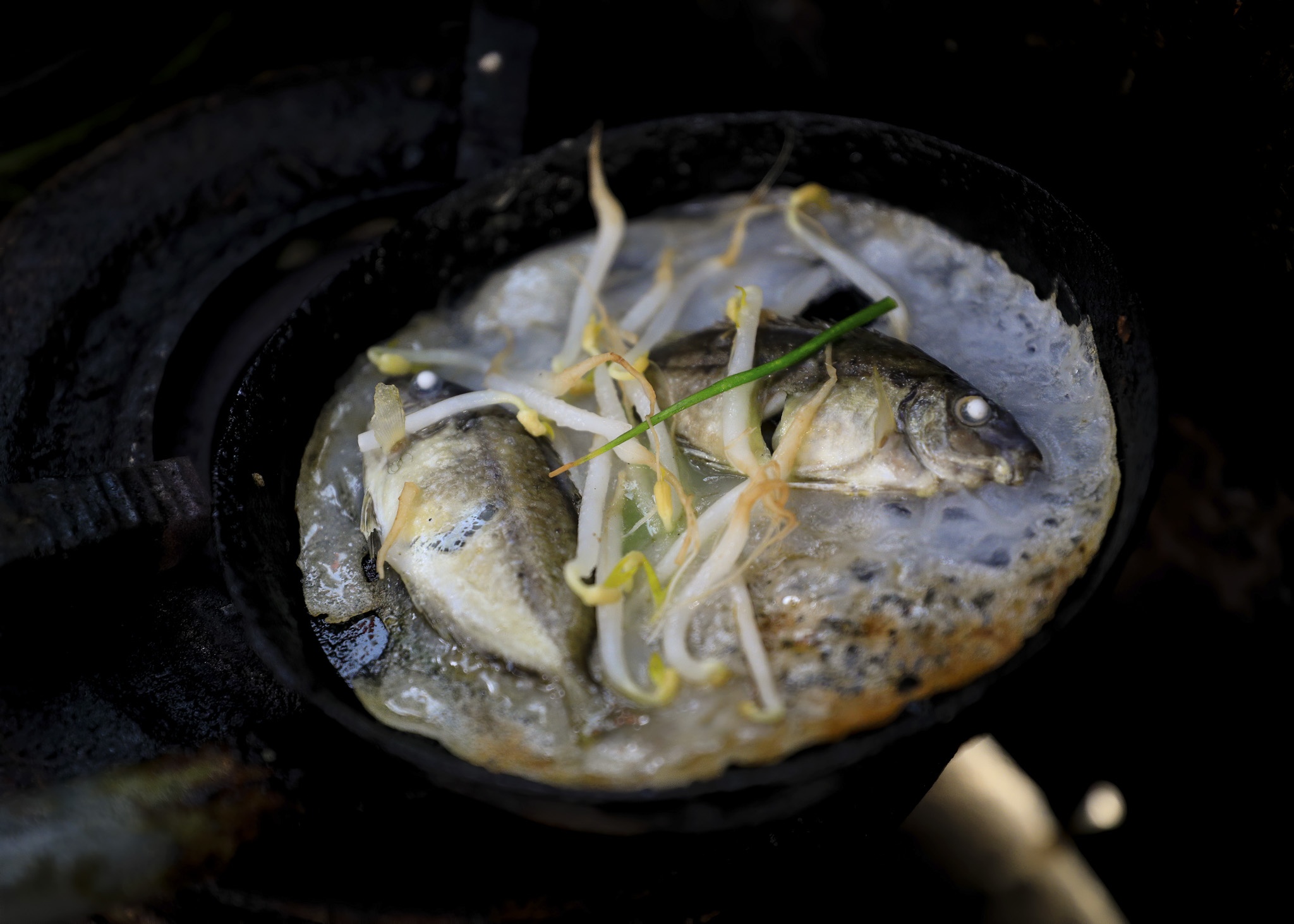 dam chuon o dau anh 24