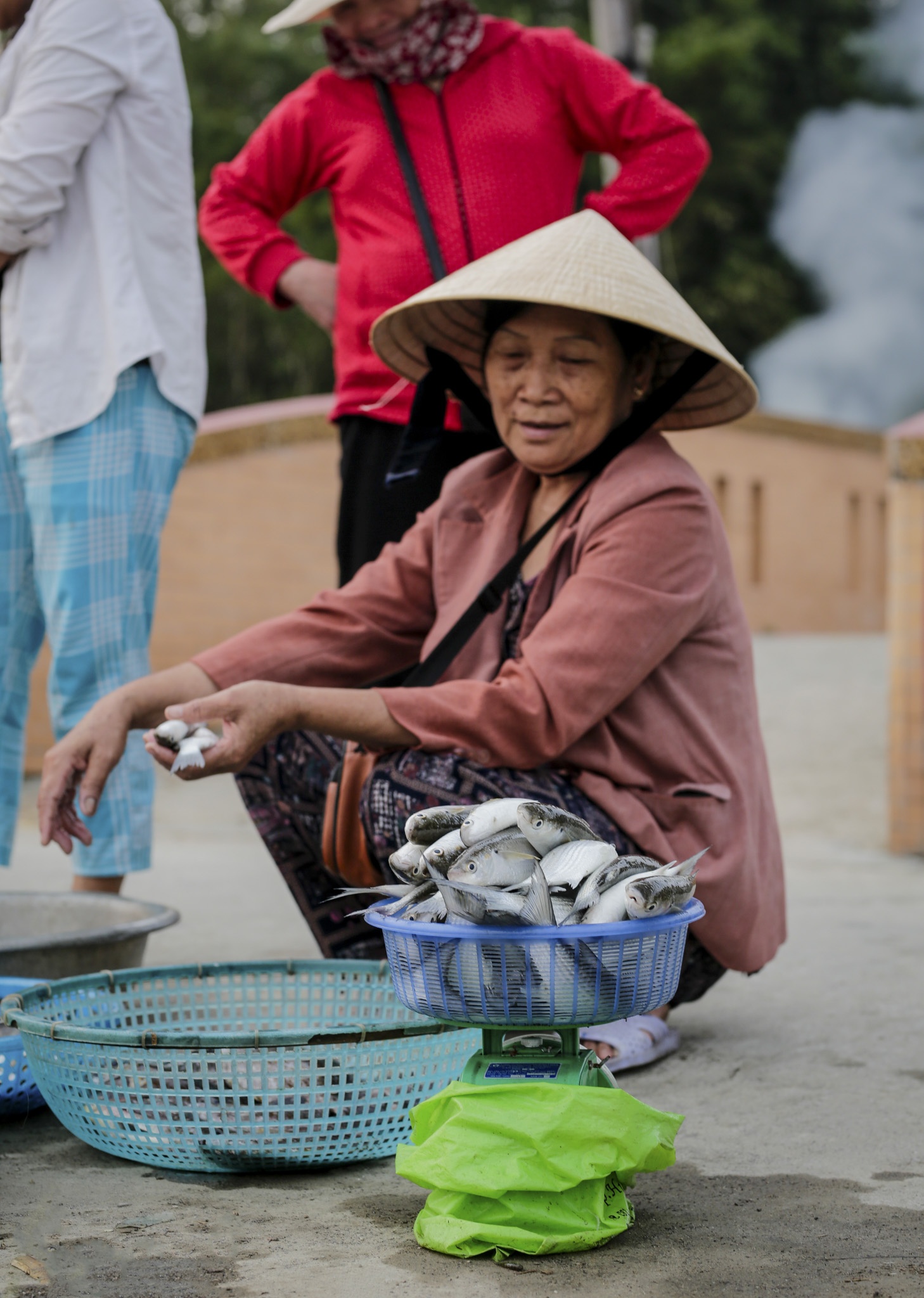 dam chuon o dau anh 14