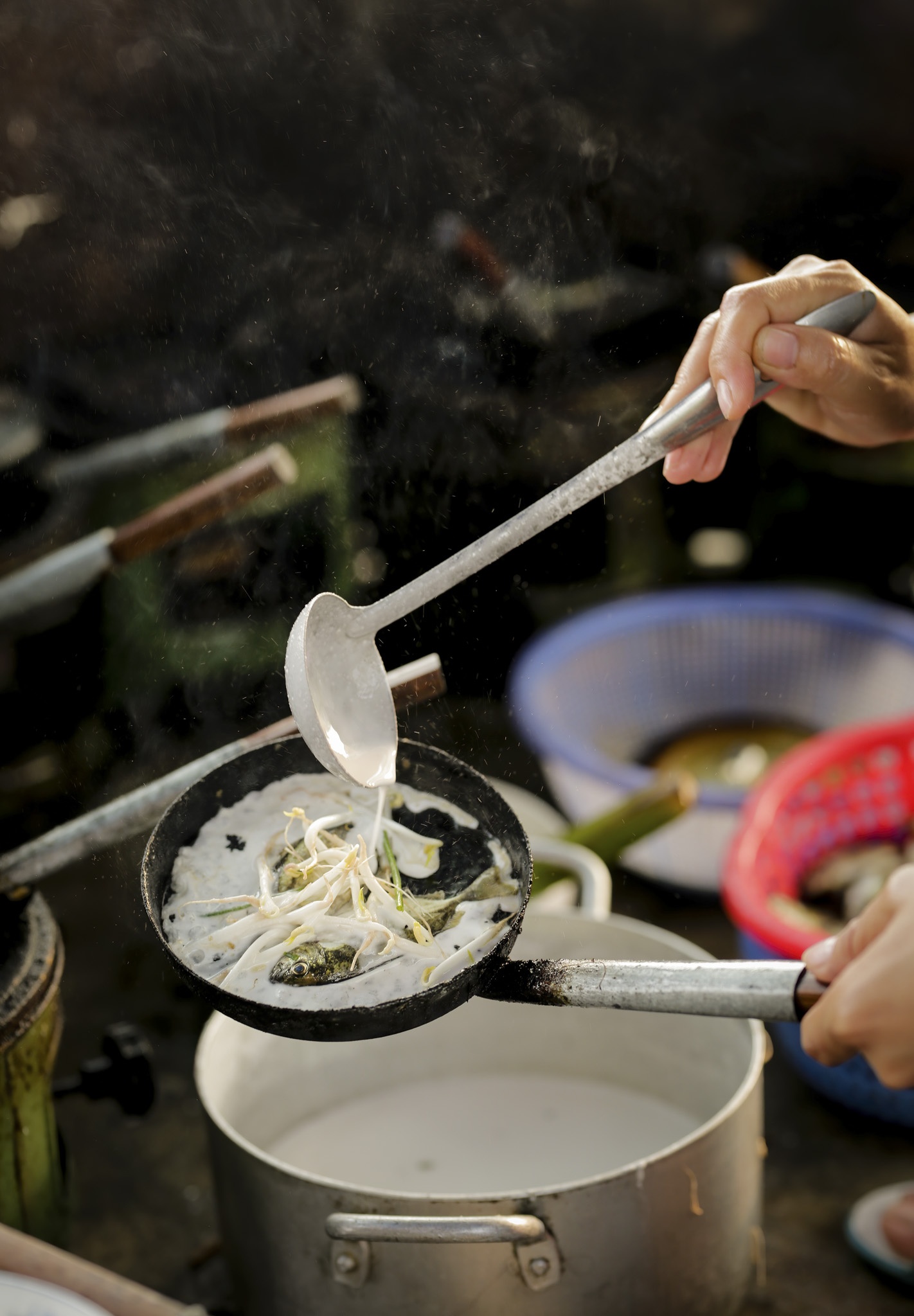 dam chuon o dau anh 17